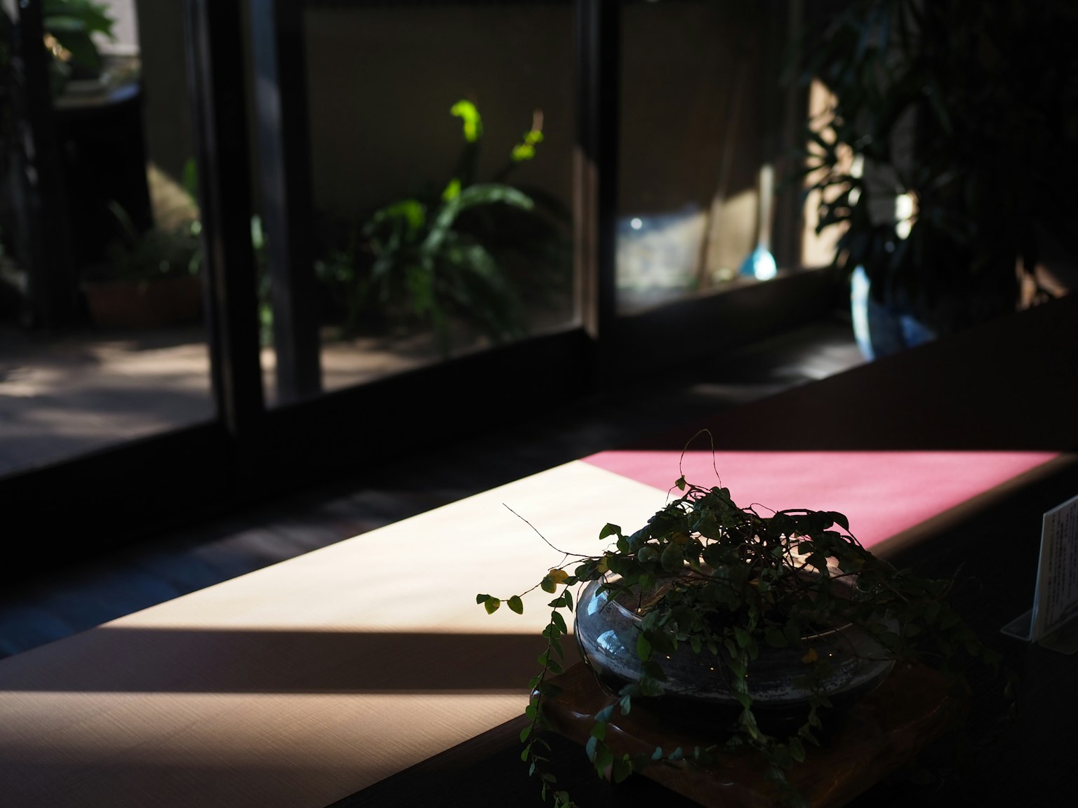 Eine Ecke eines Raumes mit Sonnenlicht, das einen Pflanzenkübel und einen Tisch hervorhebt