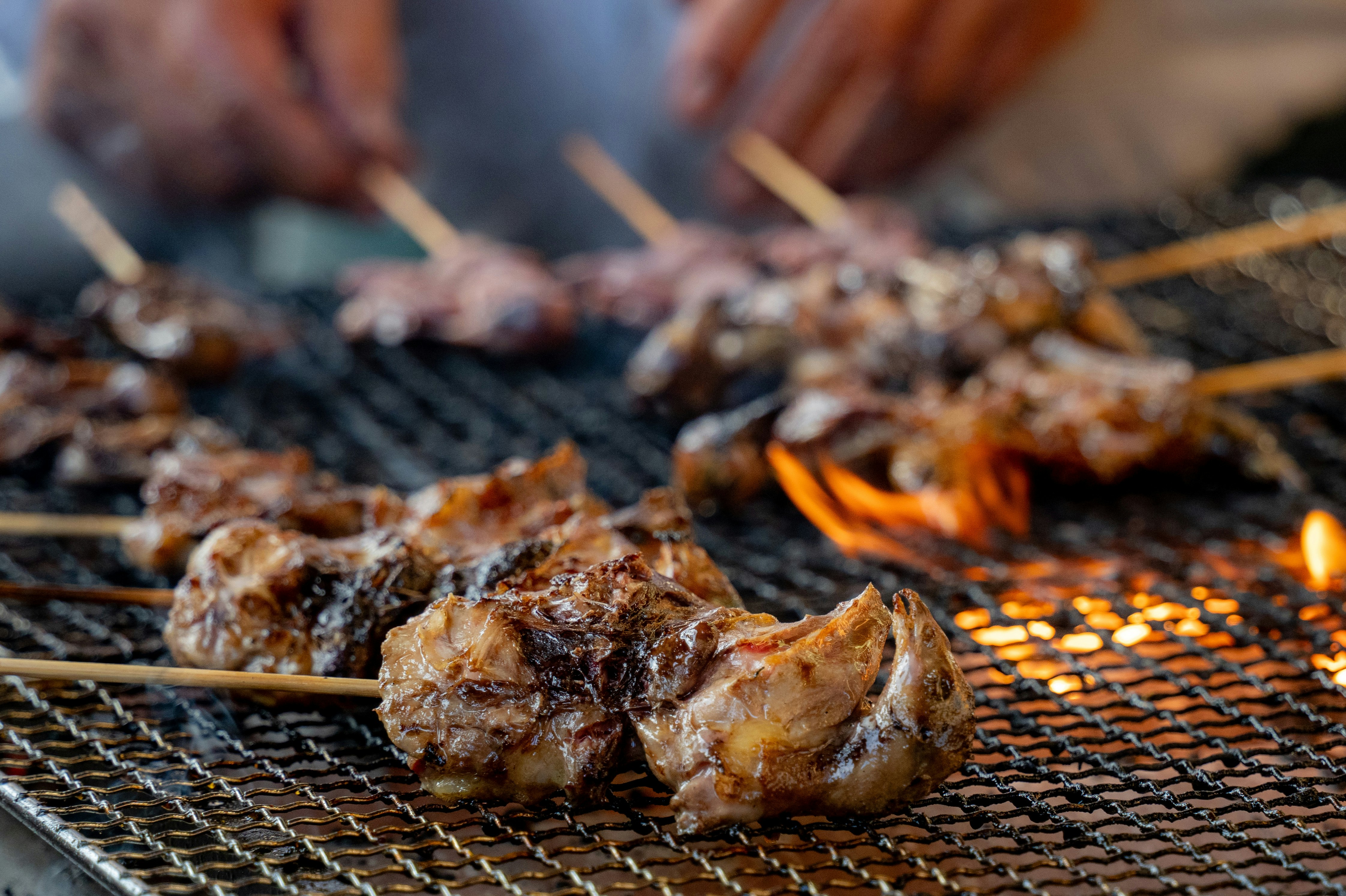 炭火で焼く串焼きと肉のグリル