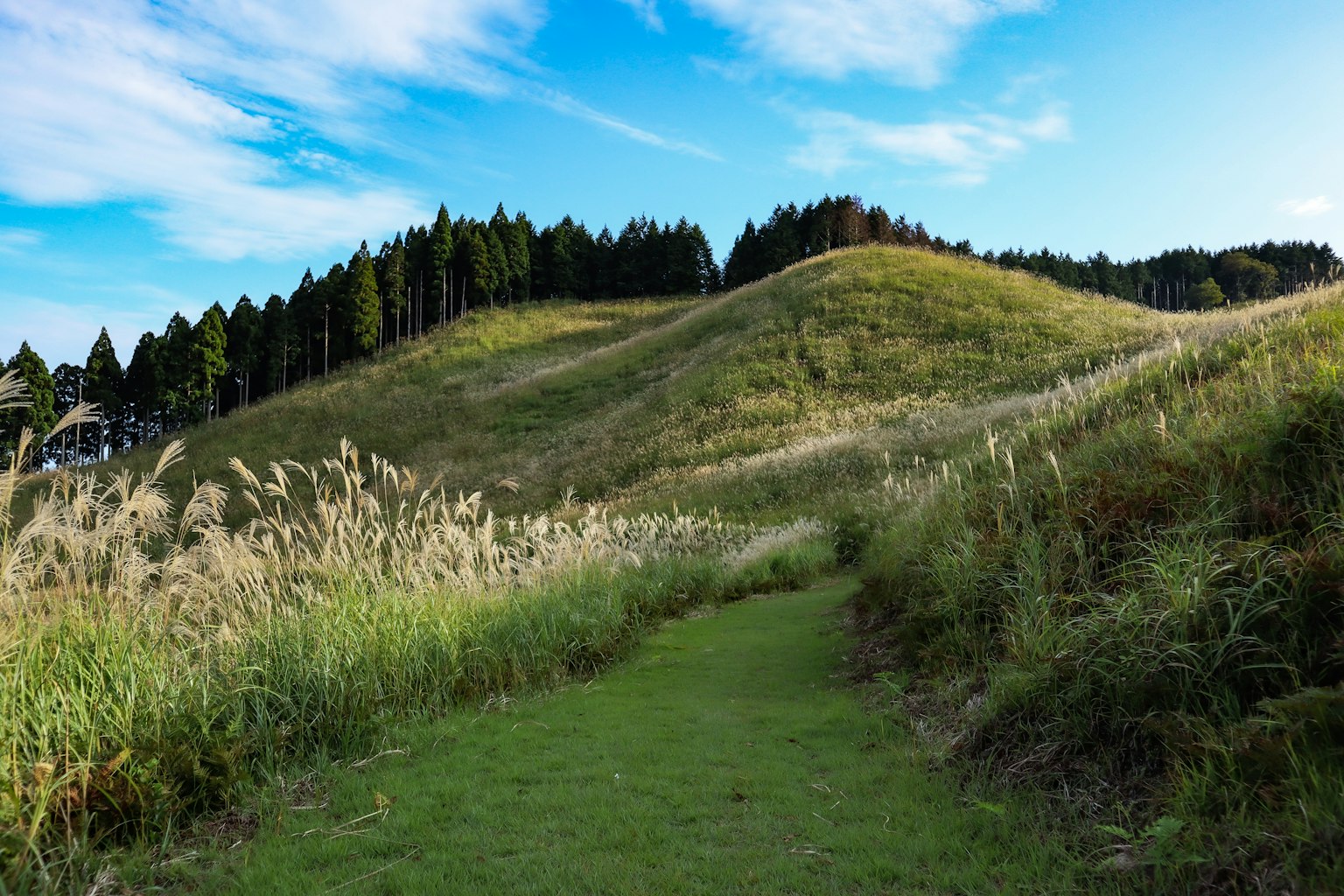 Sendero a través de un paisaje de hierba bajo un cielo azul