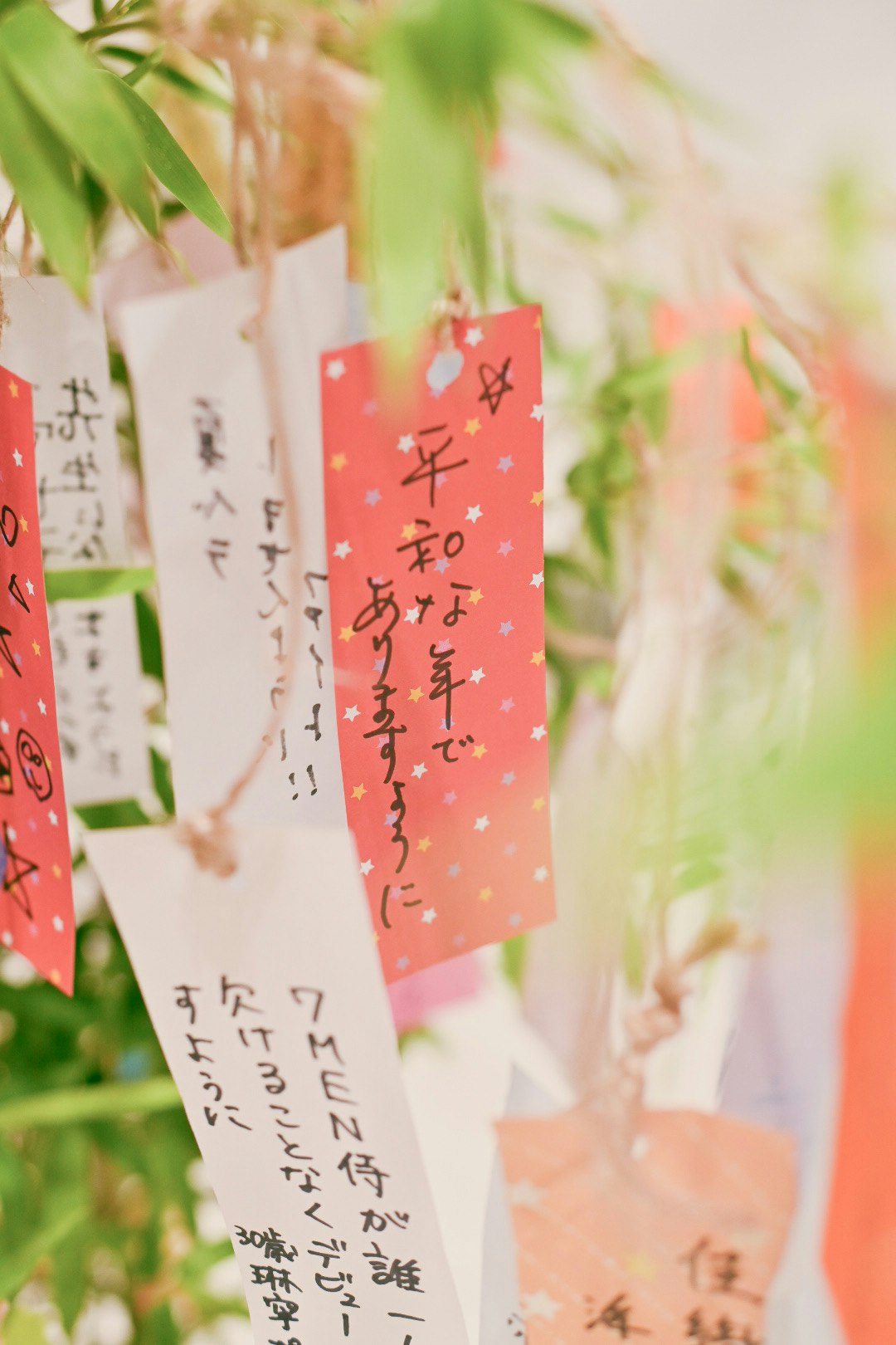 Colorful tanzaku hanging from bamboo with wishes written in Japanese