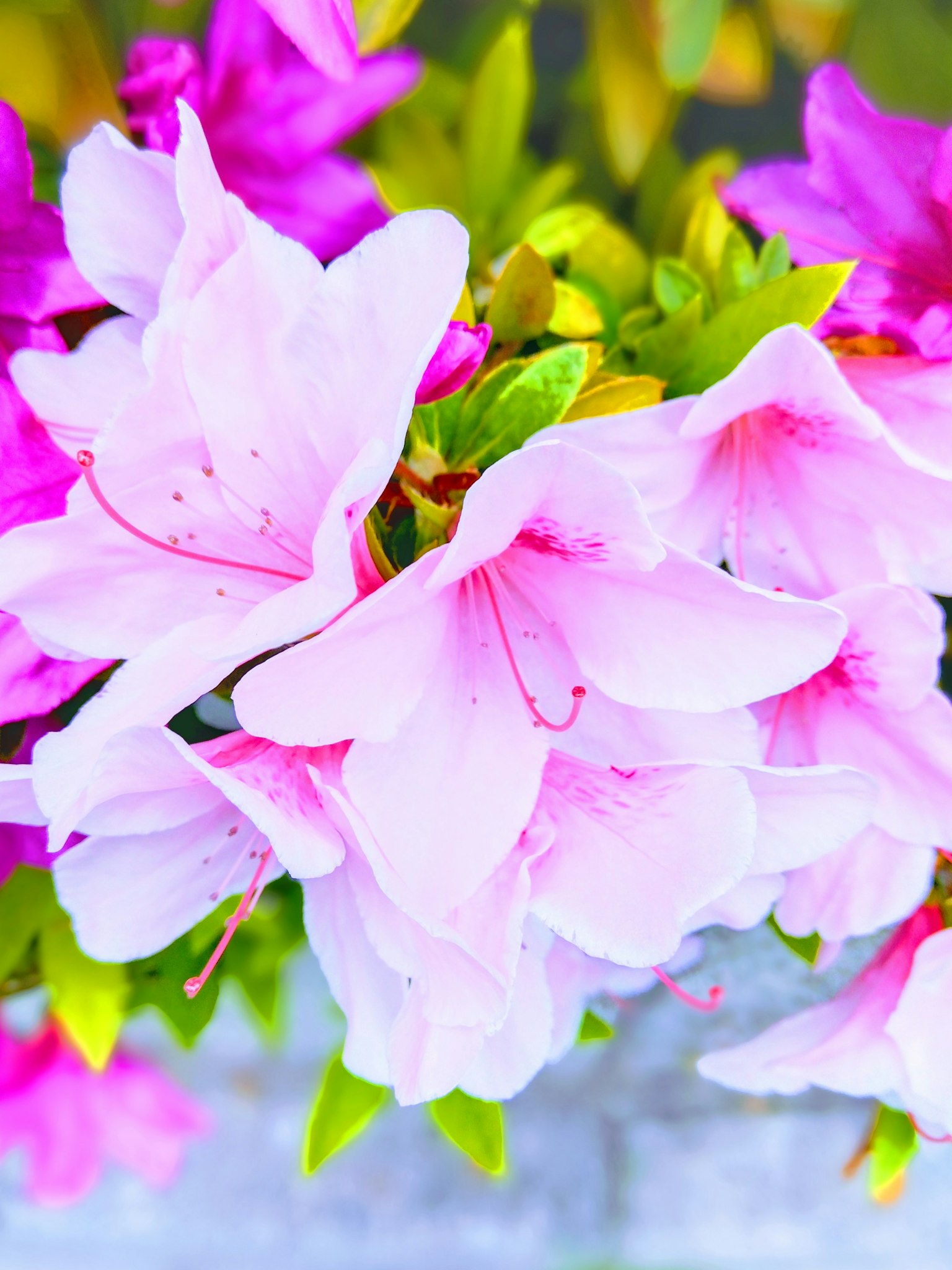 photo-VjJf8W7d7Vmt6ZioUmlz-image