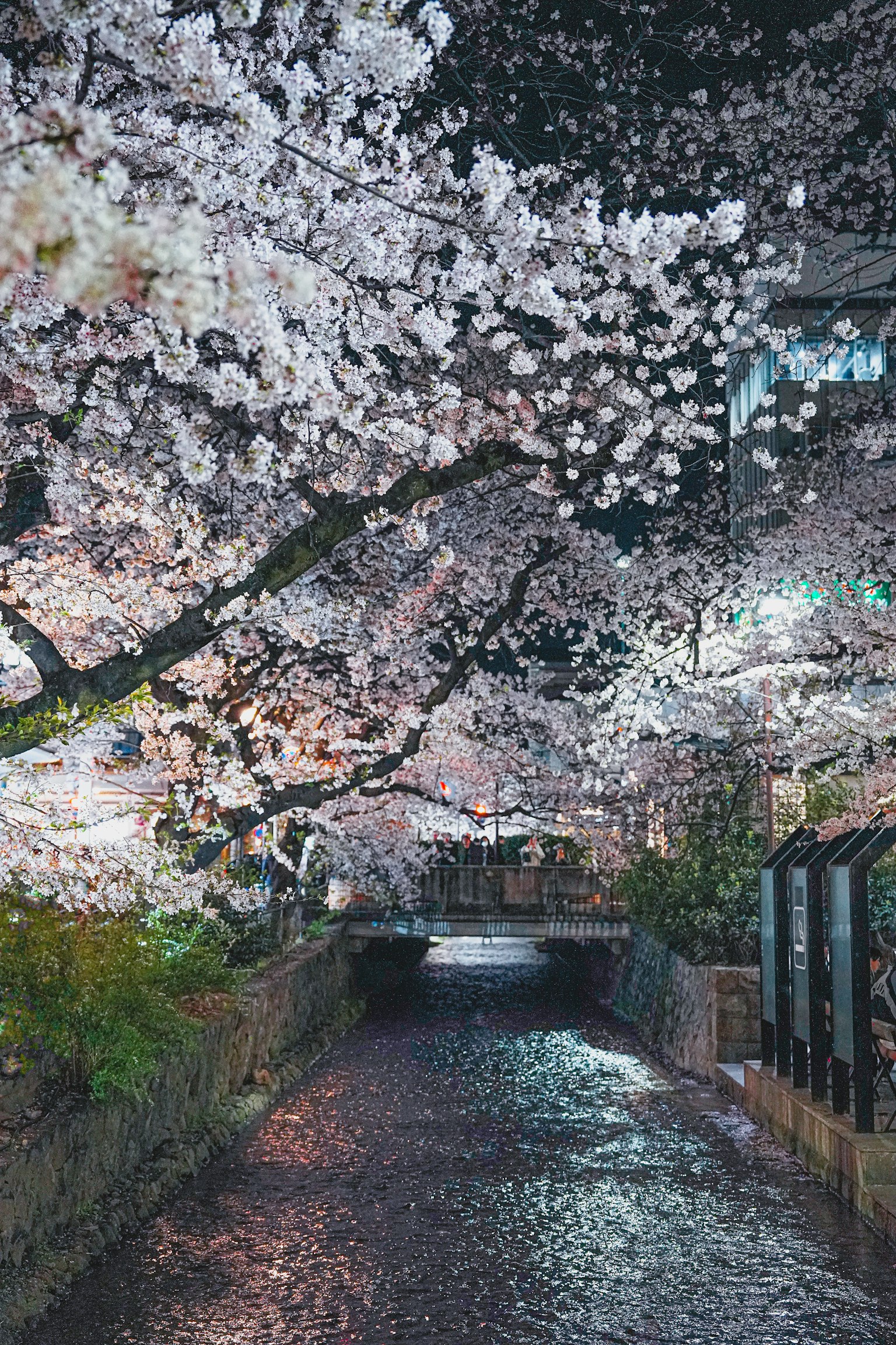 photo-VjJzhkiQX9RHuIqnTly5-image