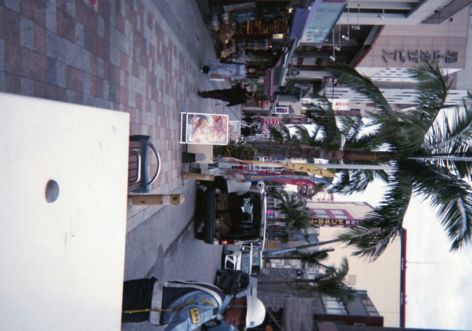街道景观，特色商店和棕榈树