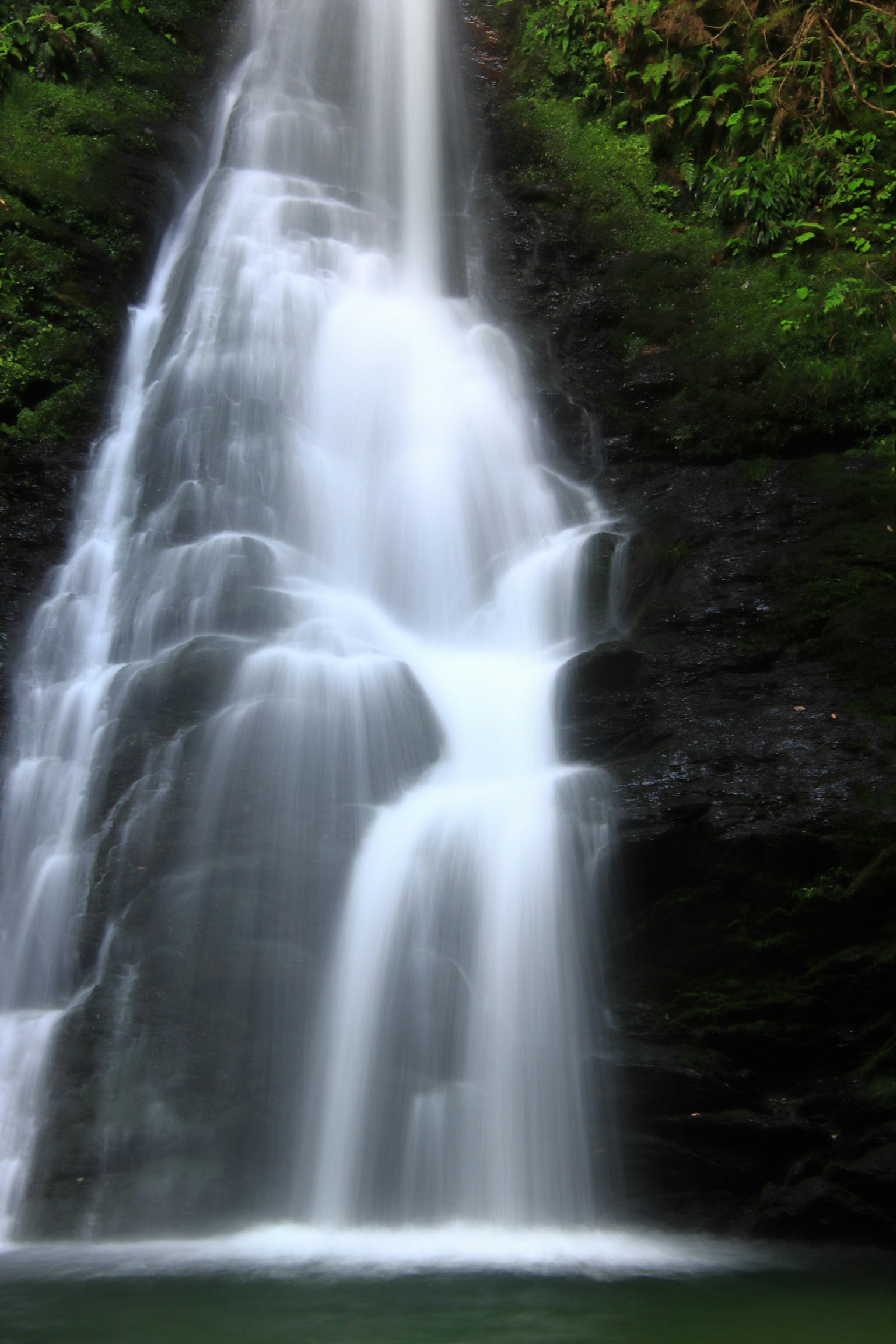 A beautiful waterfall cascading down in a lush green environment