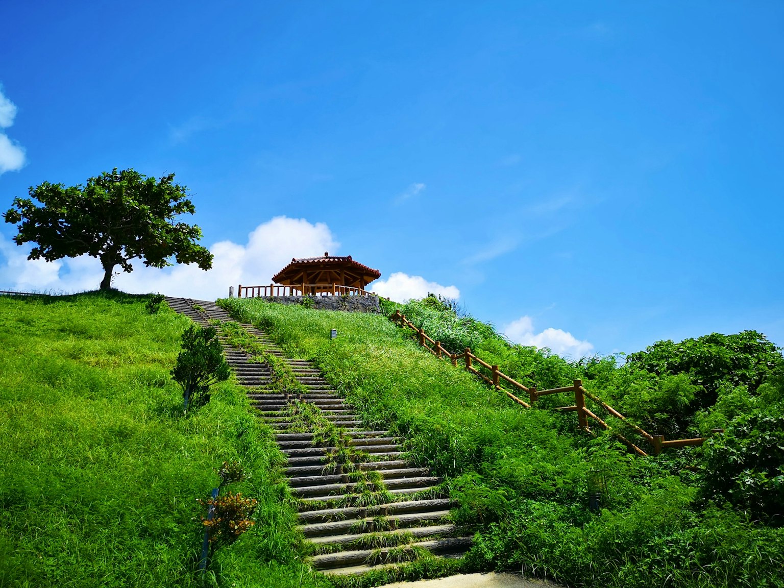 Cảnh quan tuyệt đẹp của đồi xanh với cầu thang dưới bầu trời xanh có nhà chòi và cây