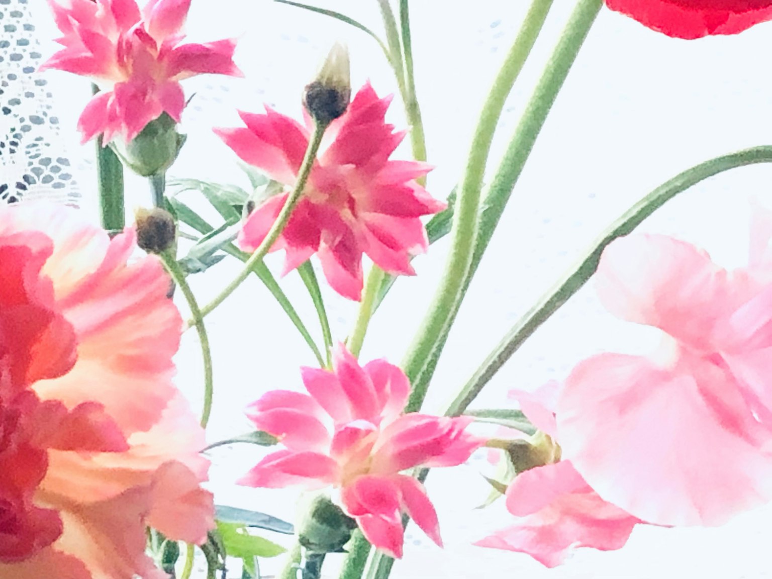 美丽的艺术作品，展示了各种颜色的鲜花