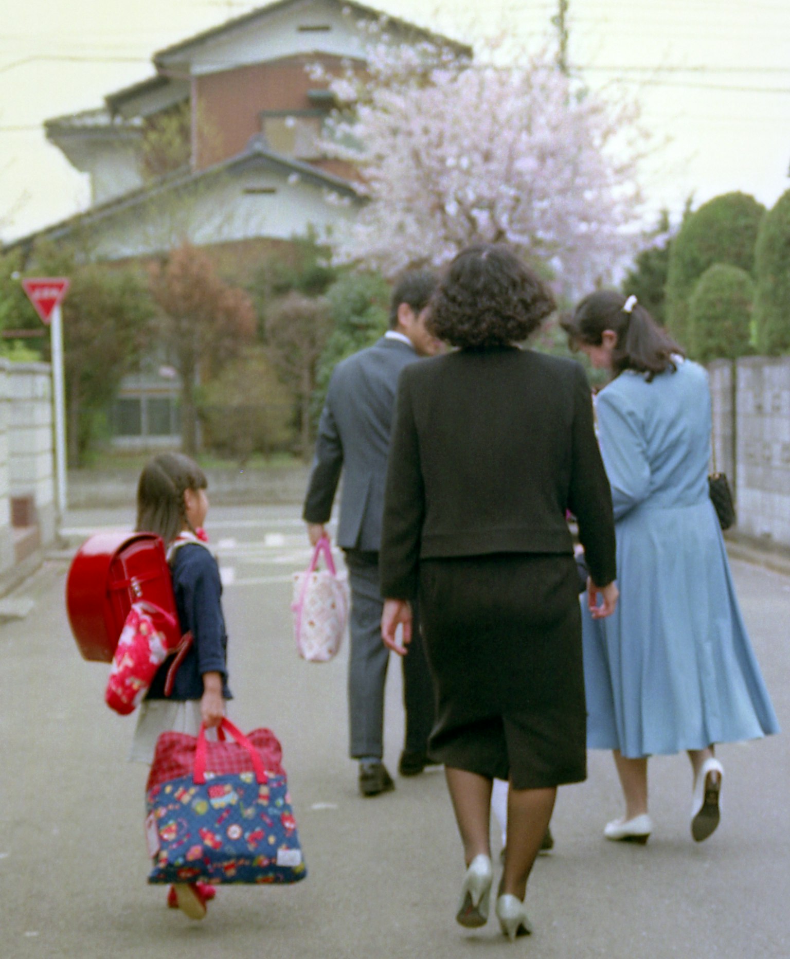 Family walking under a cherry blossom tree girl with a red backpack
