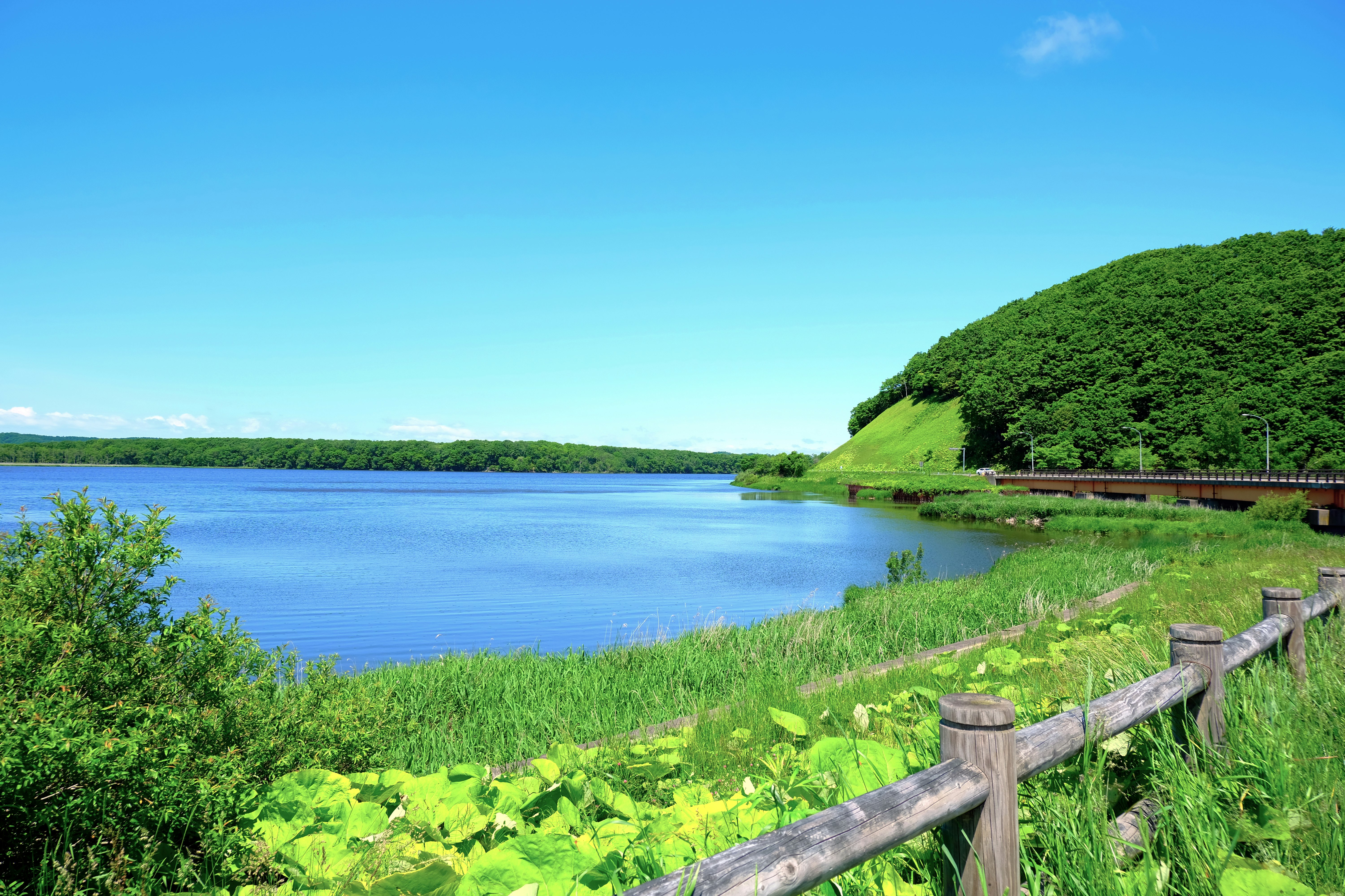 夏のシラルトロ湖畔の緑の草地と遊歩道
