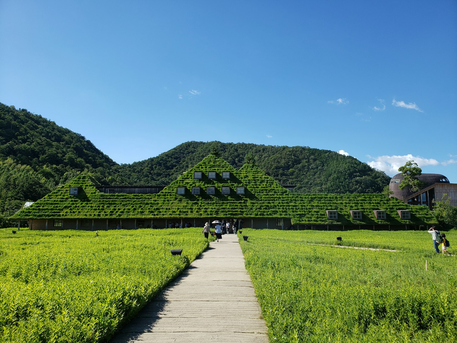被草地和樹木環繞的綠屋頂建築