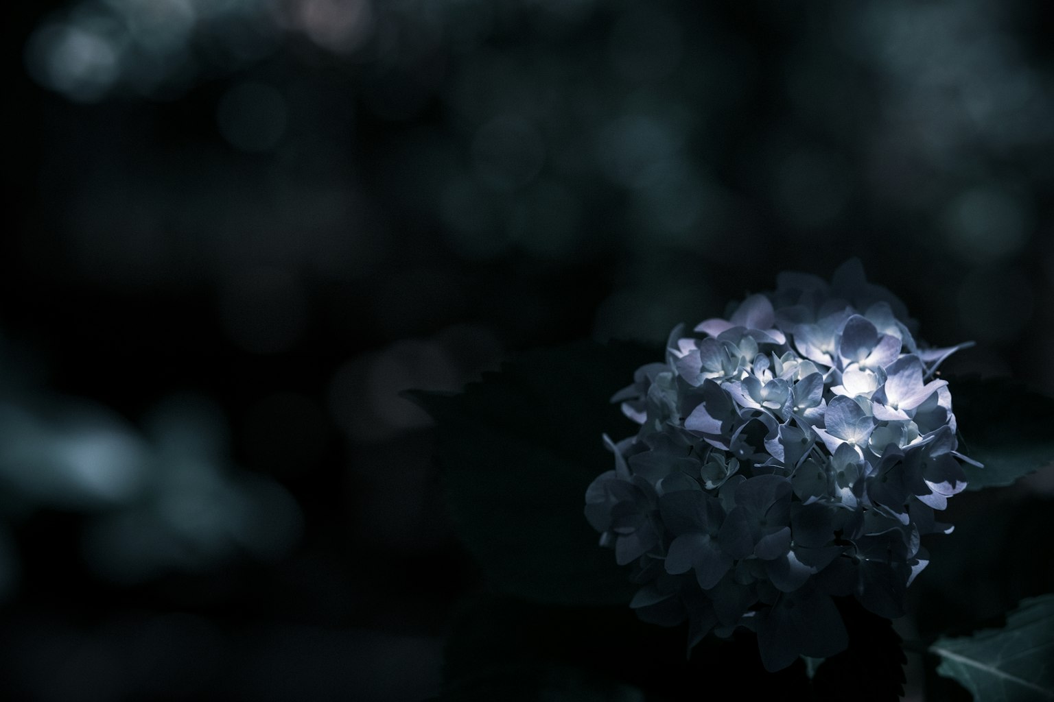 photo-VkSpmh3GFHBlvymf6jsk-image