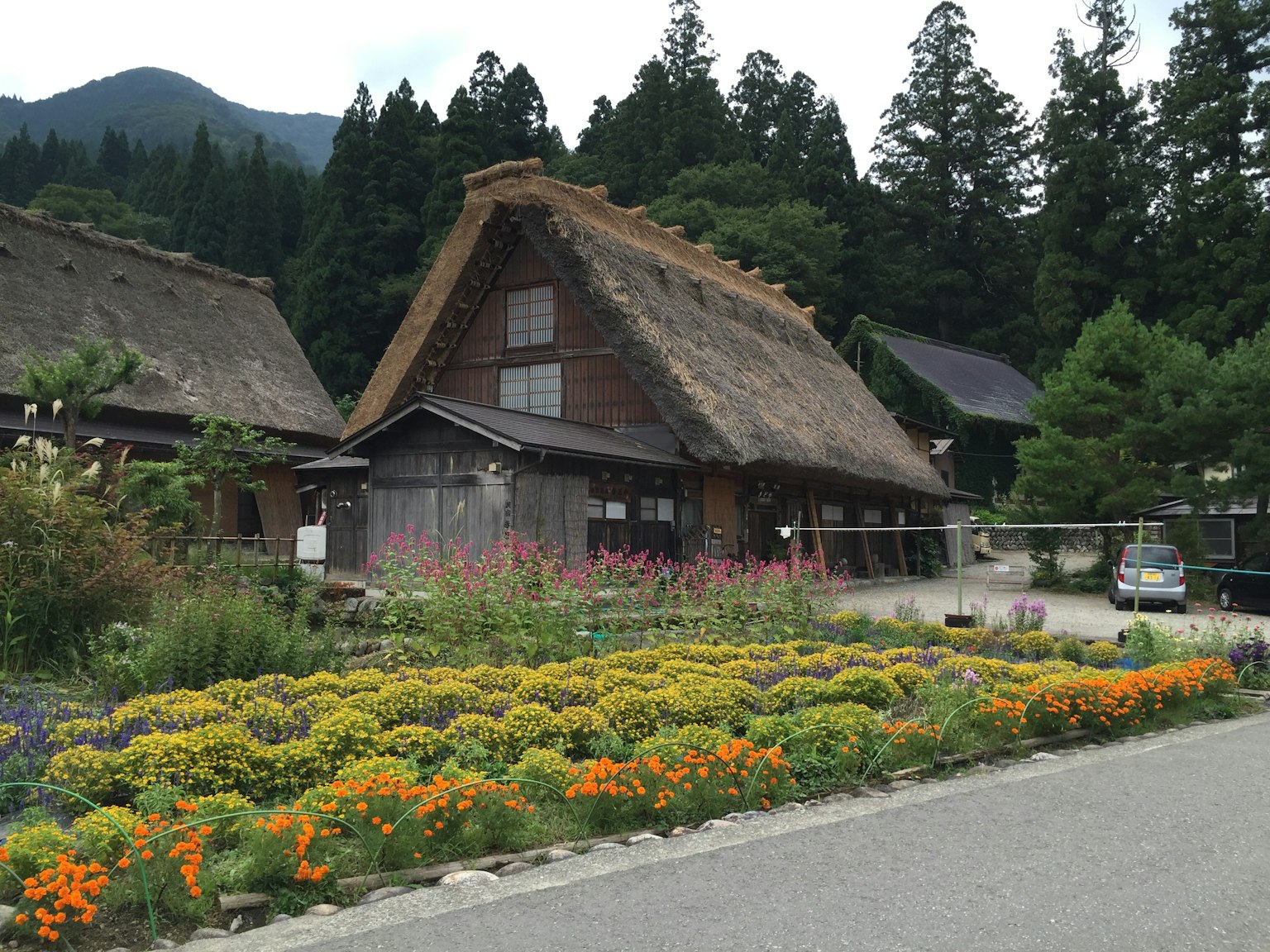 Casa tradizionale giapponese con tetto di paglia circondata da un giardino di fiori colorati e montagne