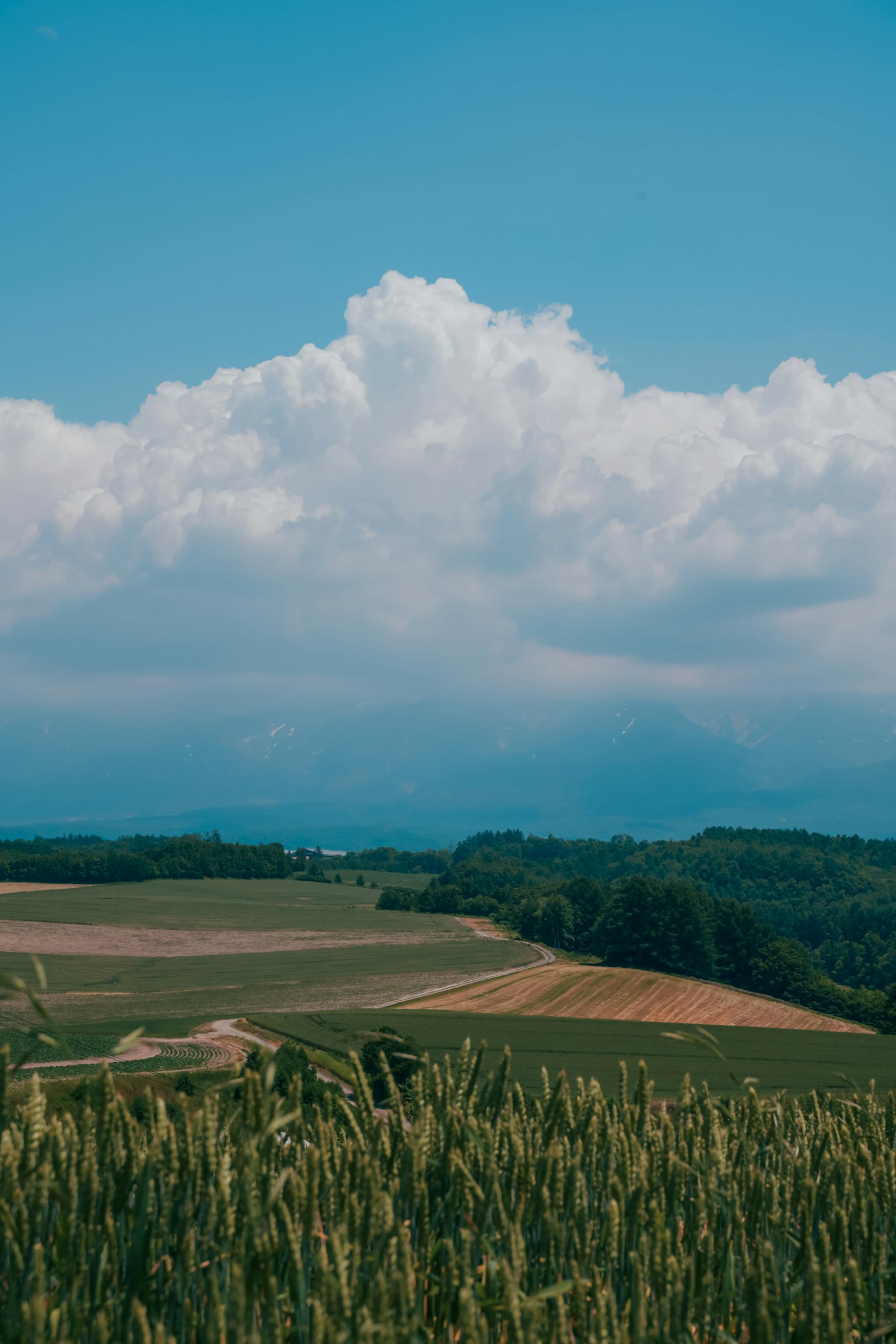 Vasto paesaggio con cielo blu e nuvole bianche soffici Campi verdi si estendono all'orizzonte con montagne in lontananza