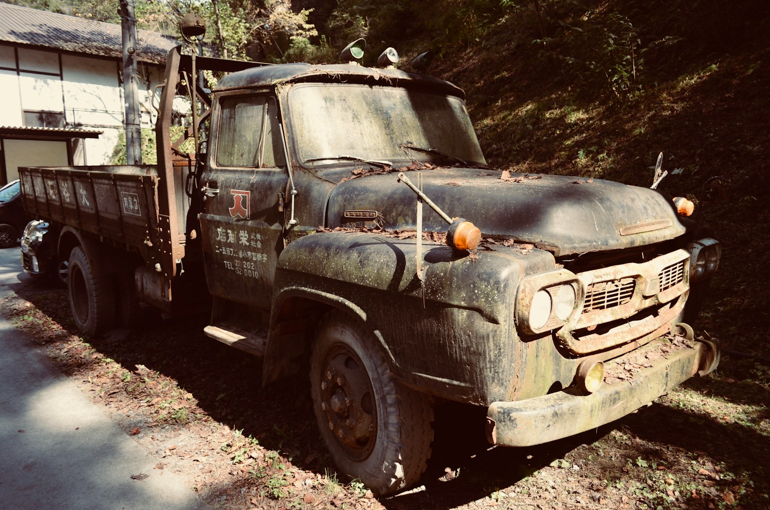 停在森林中的旧卡车