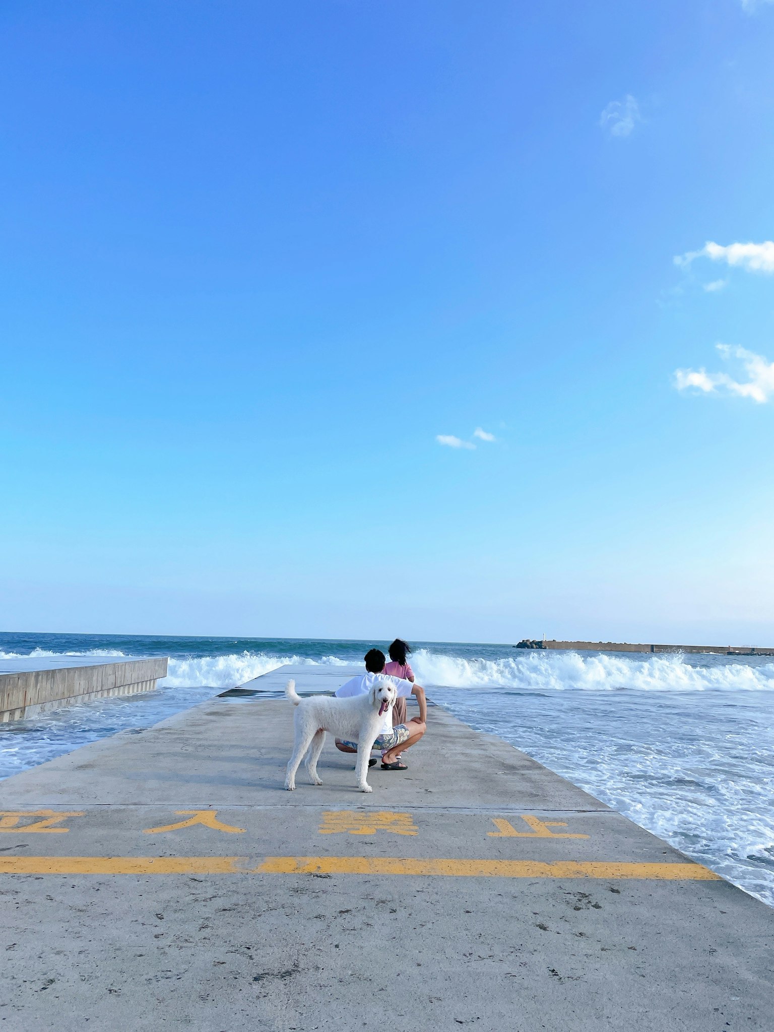 Person and dog sitting by the ocean on a pier under a blue sky
