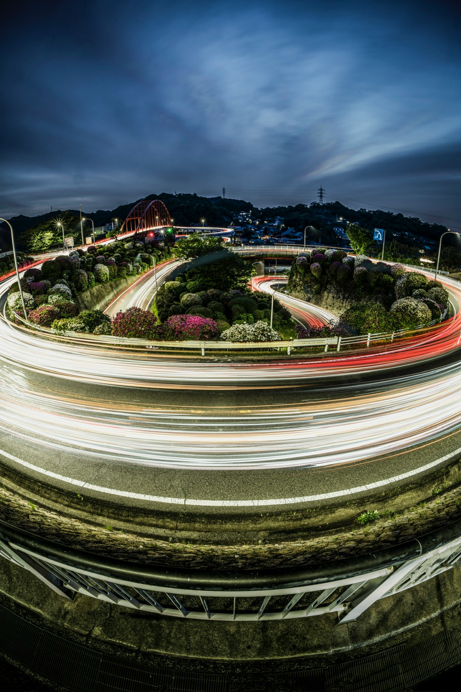 Night scene featuring swirling lights and lush greenery