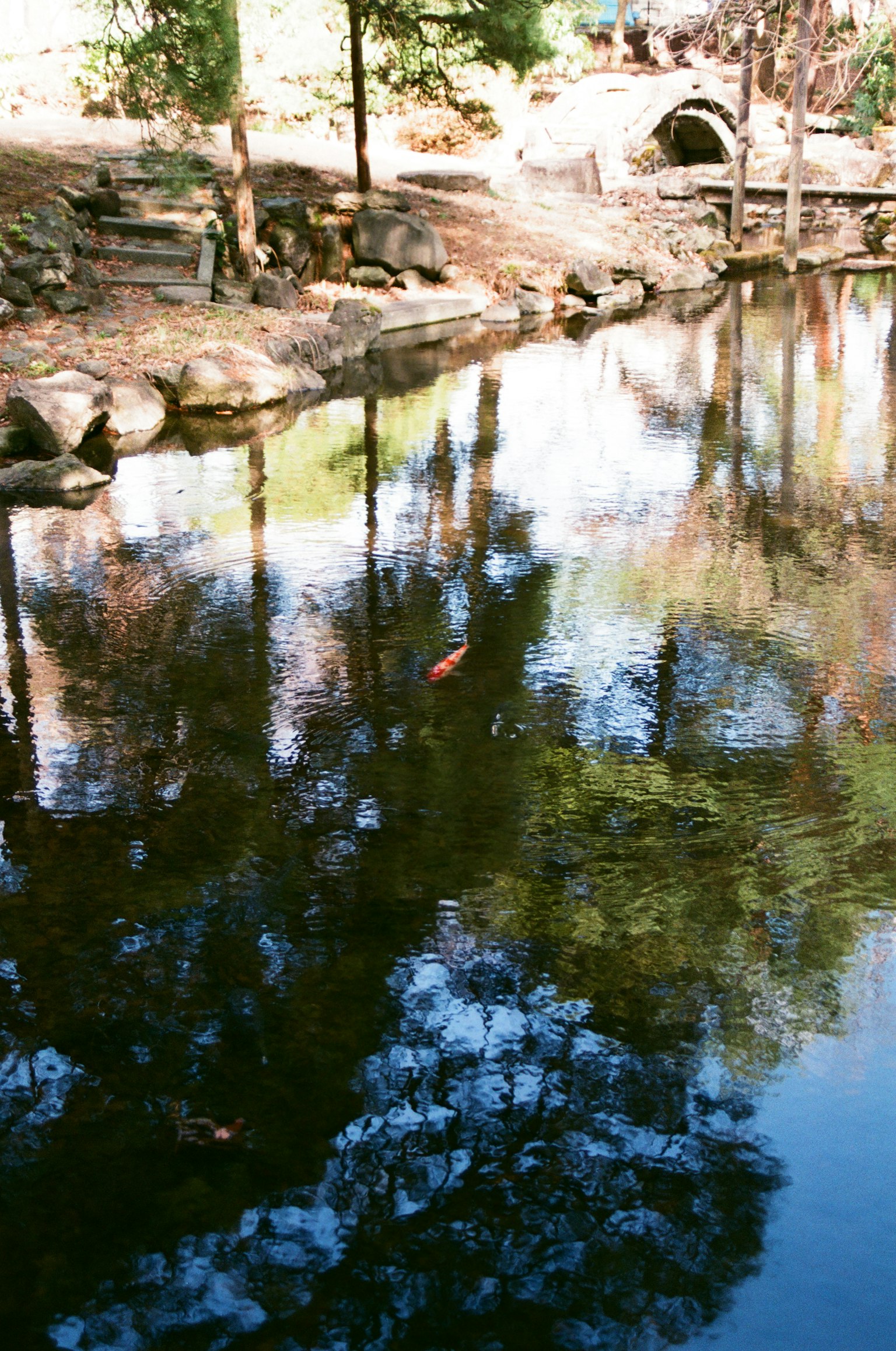 Estanque tranquilo reflejando árboles y un puente de piedra