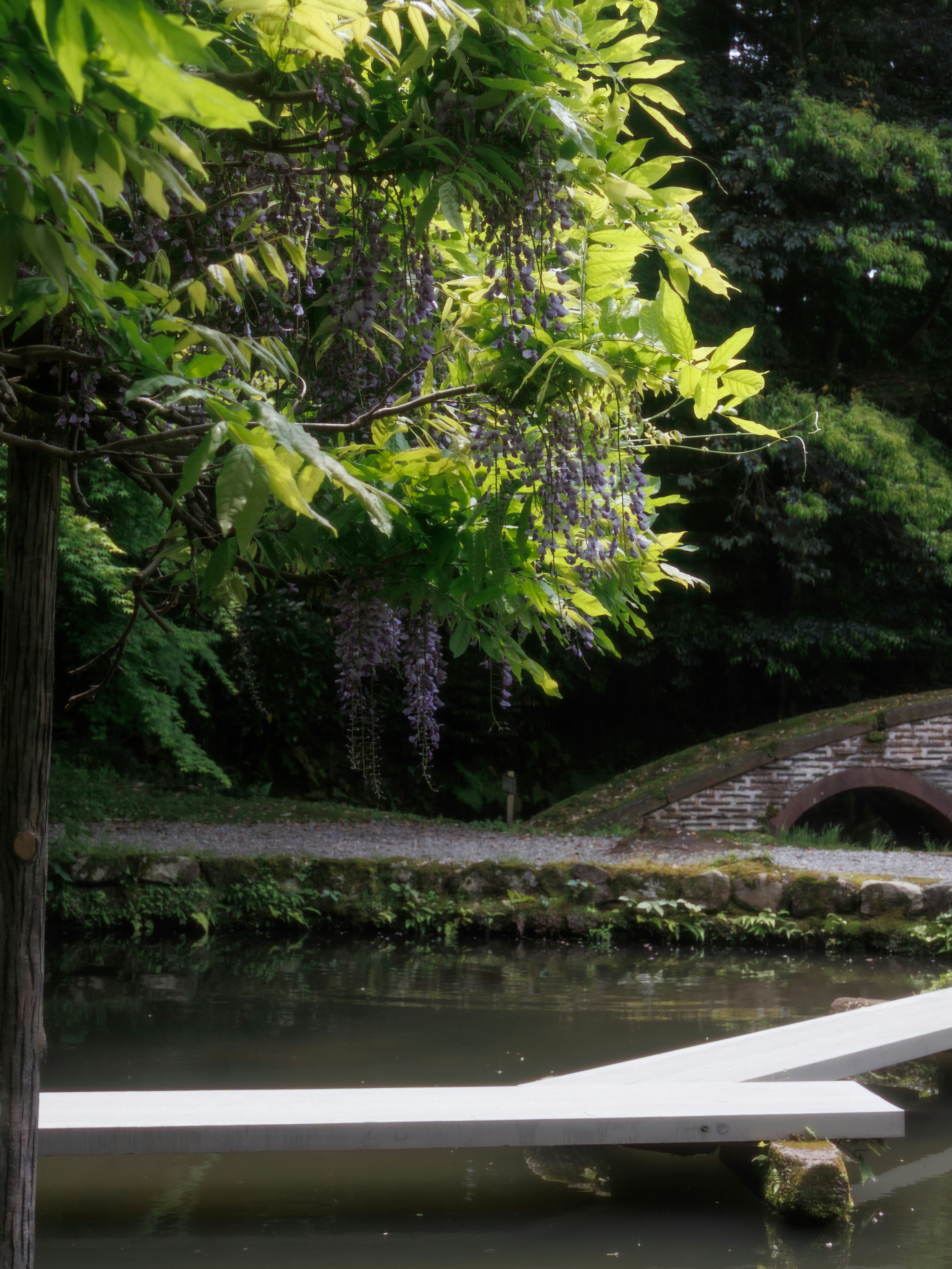 池塘邊的綠樹與拱形石橋