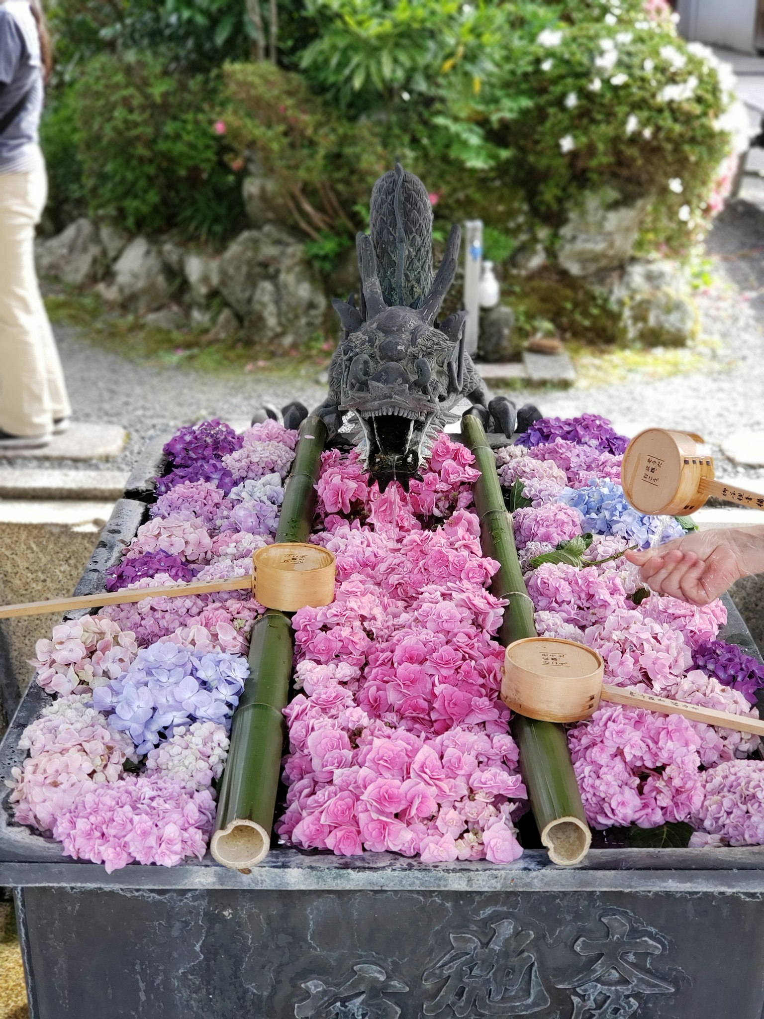 다채로운 꽃과 대나무 물주걱이 있는 용 동상이 있는 물이 있는 풍경