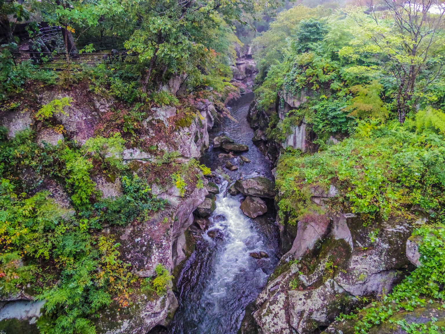 被郁郁葱葱的绿色植被和岩石悬崖环绕的小溪风景