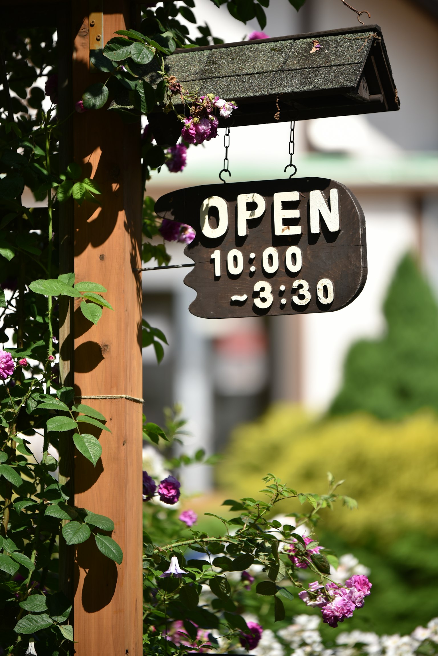 photo-VnoRrtfiRPHWSxY4zIRT-image