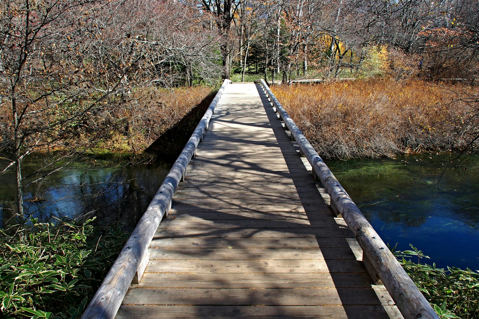 Pont en bois s'étendant sur un plan d'eau entouré d'arbres et de feuillage d'automne