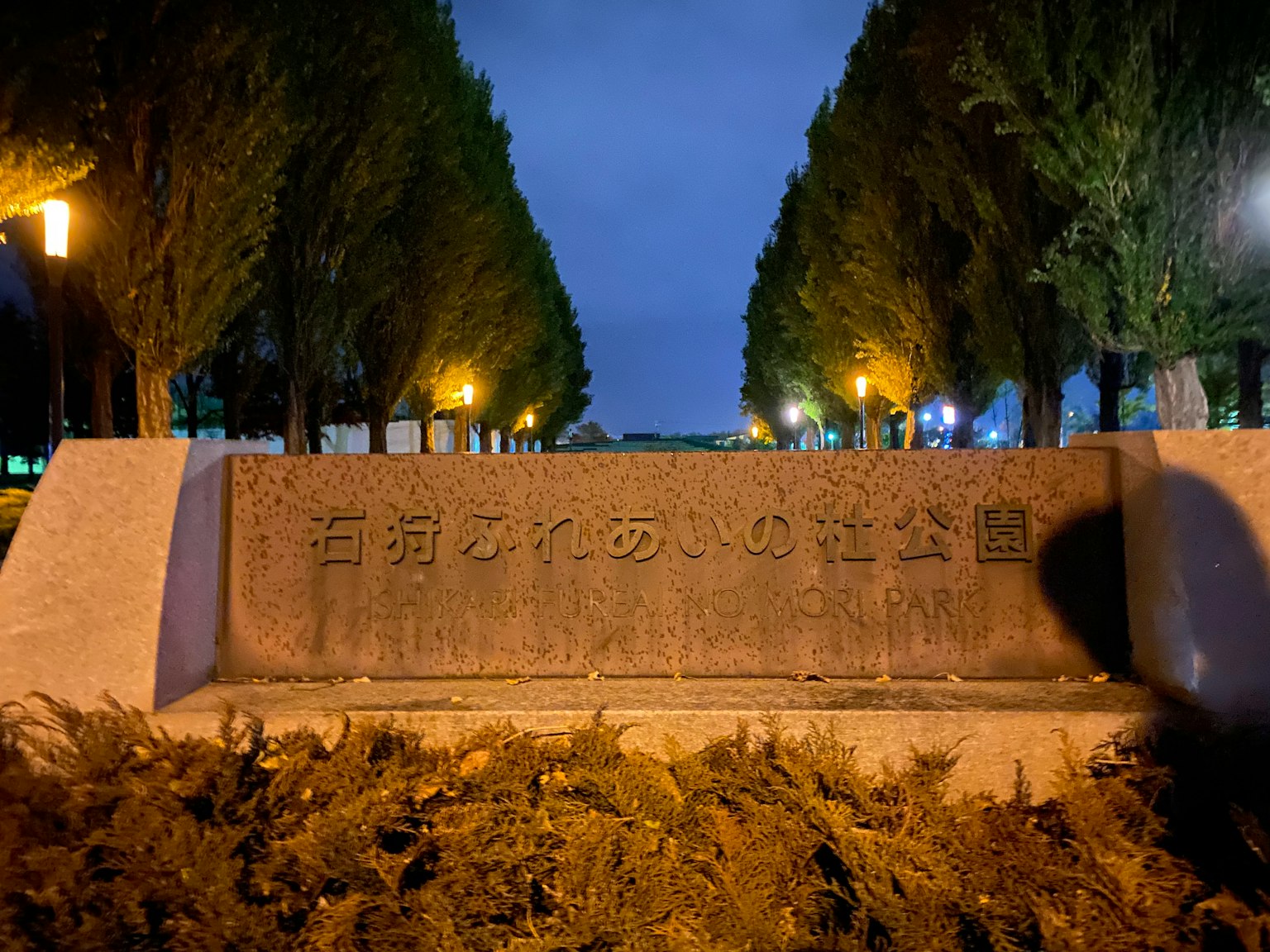 Monumen batu di taman pada malam hari dengan lampu jalan berjejer