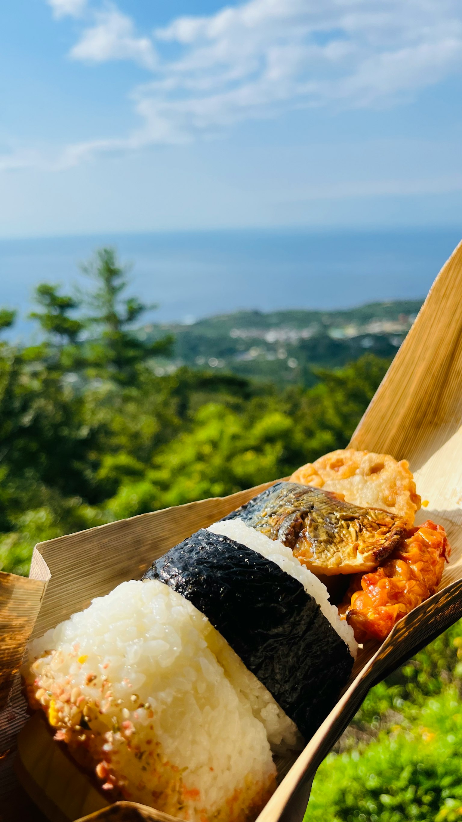 바다 배경의 스시 롤과 주먹밥 사진