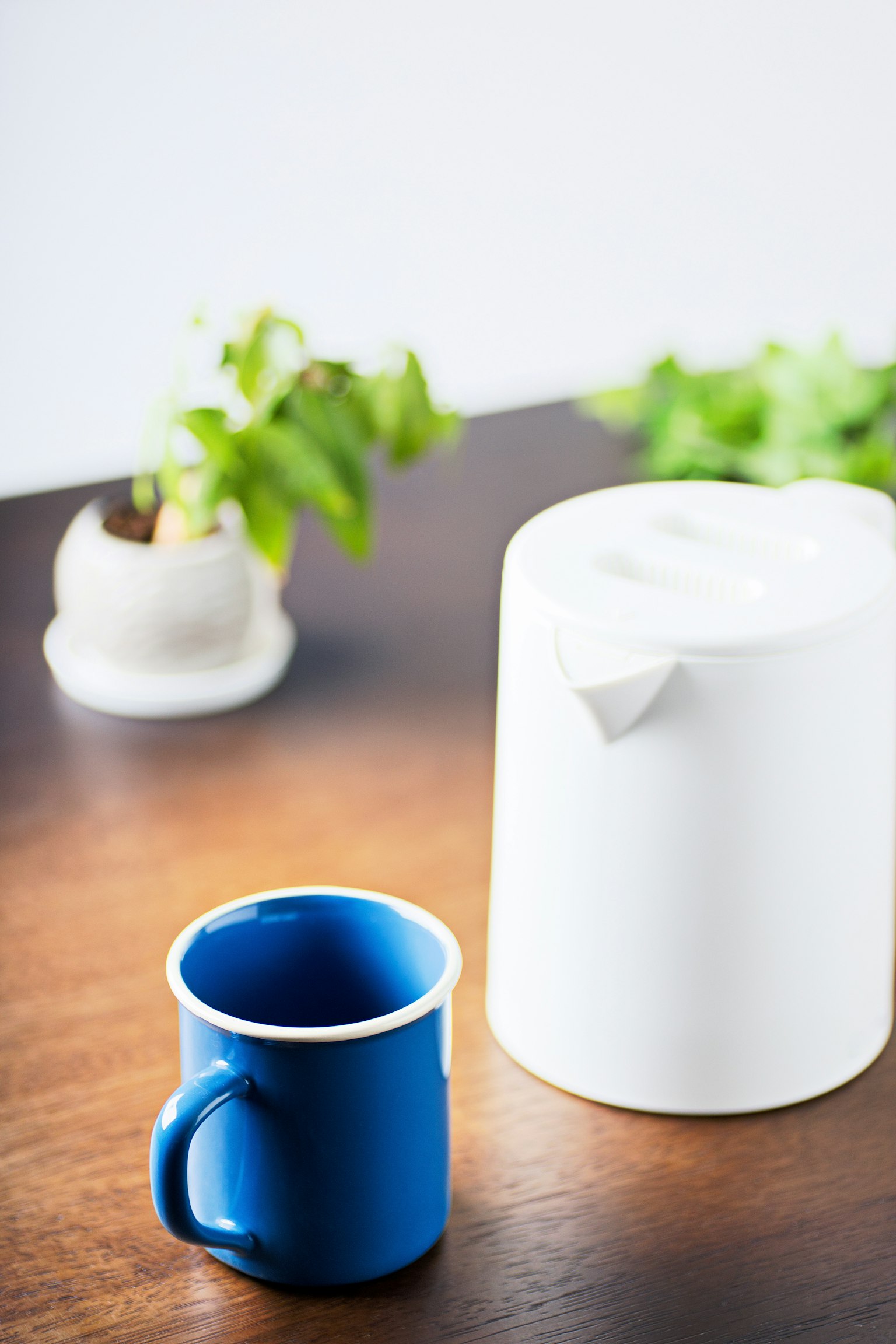 A blue mug and a white pot on a wooden table with greenery in the background