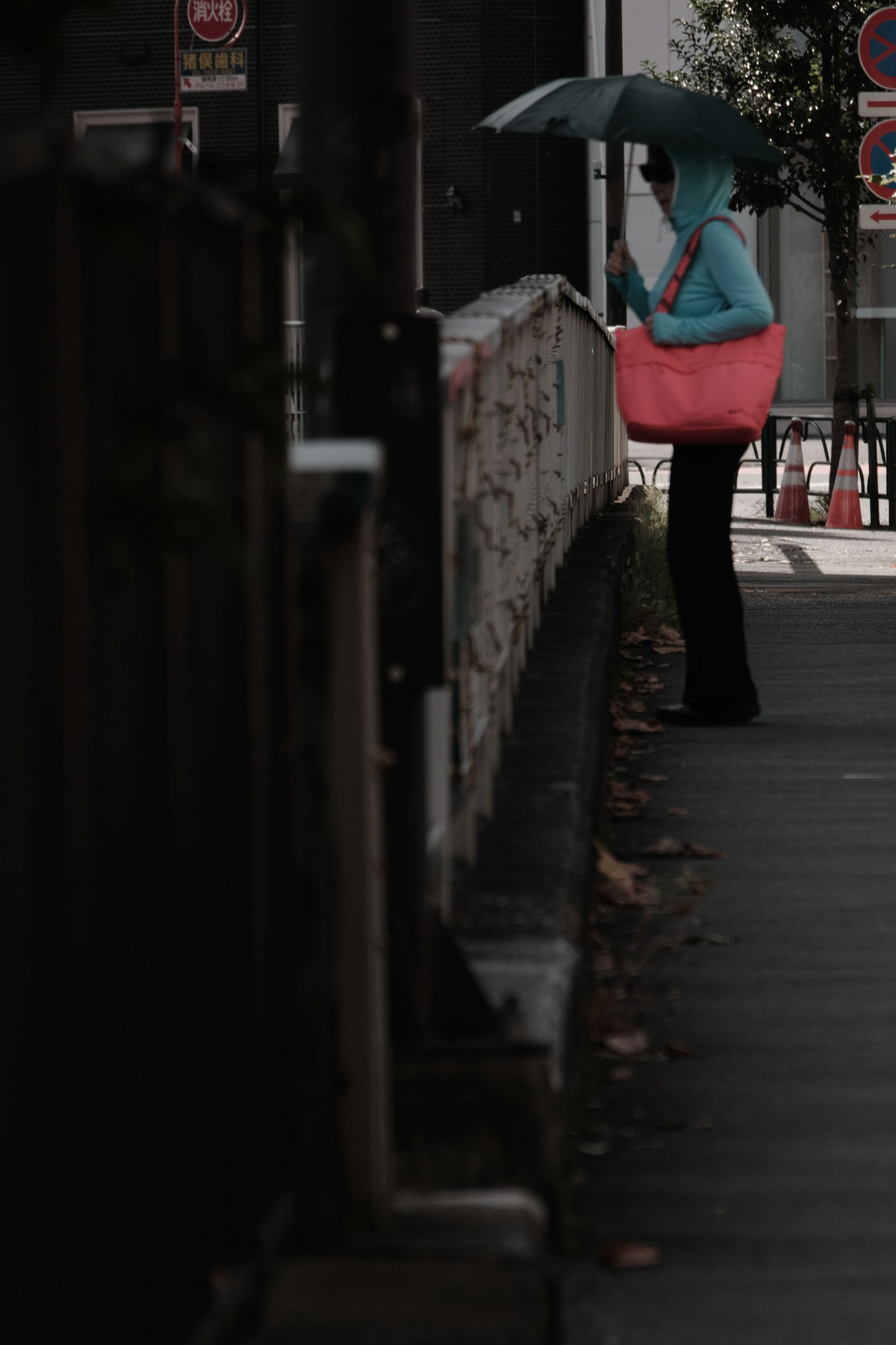 Donna con cappuccio blu che tiene una borsa rosa e un ombrello
