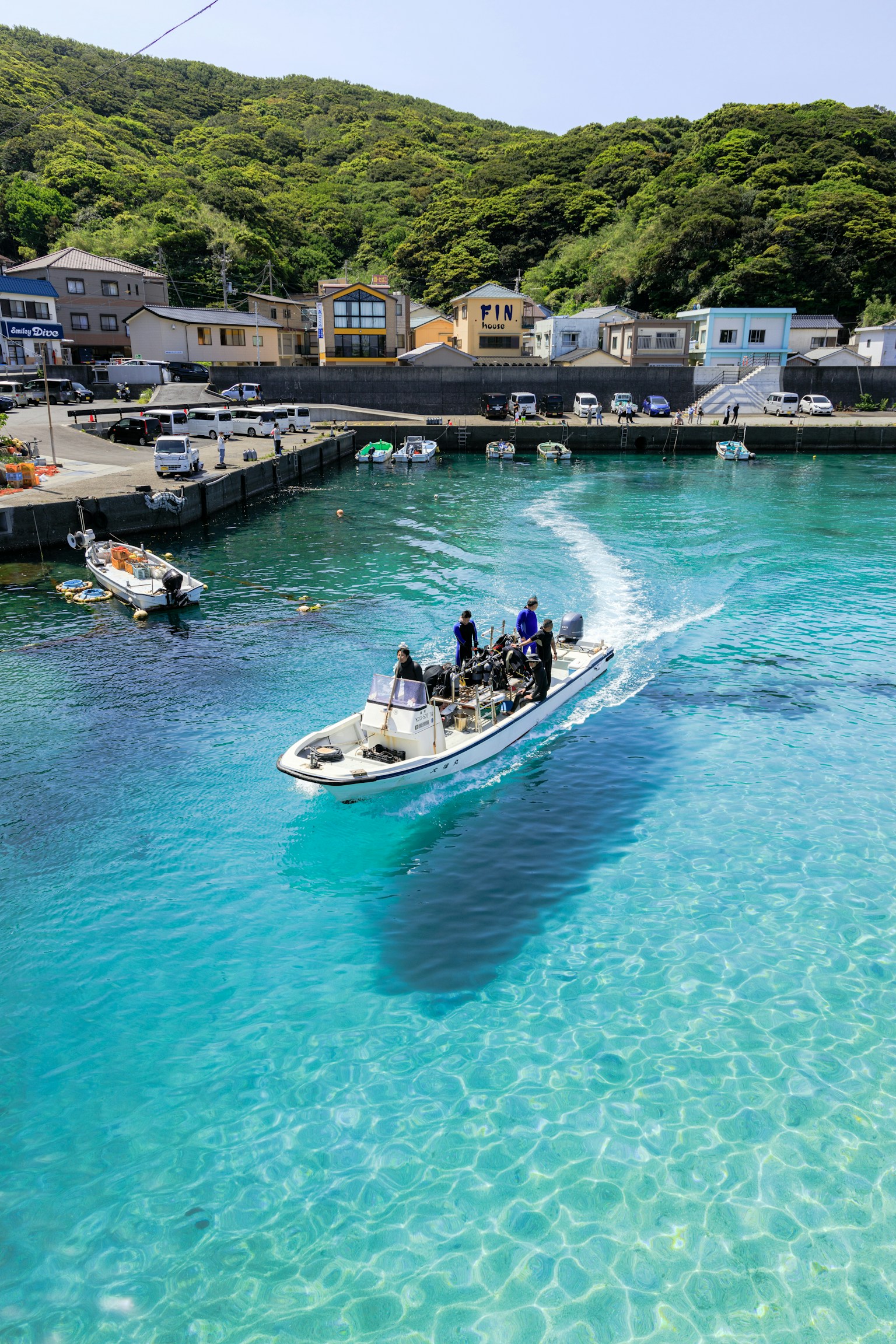 photo-Vp7t8LTzCgbel4OCJUGc-image