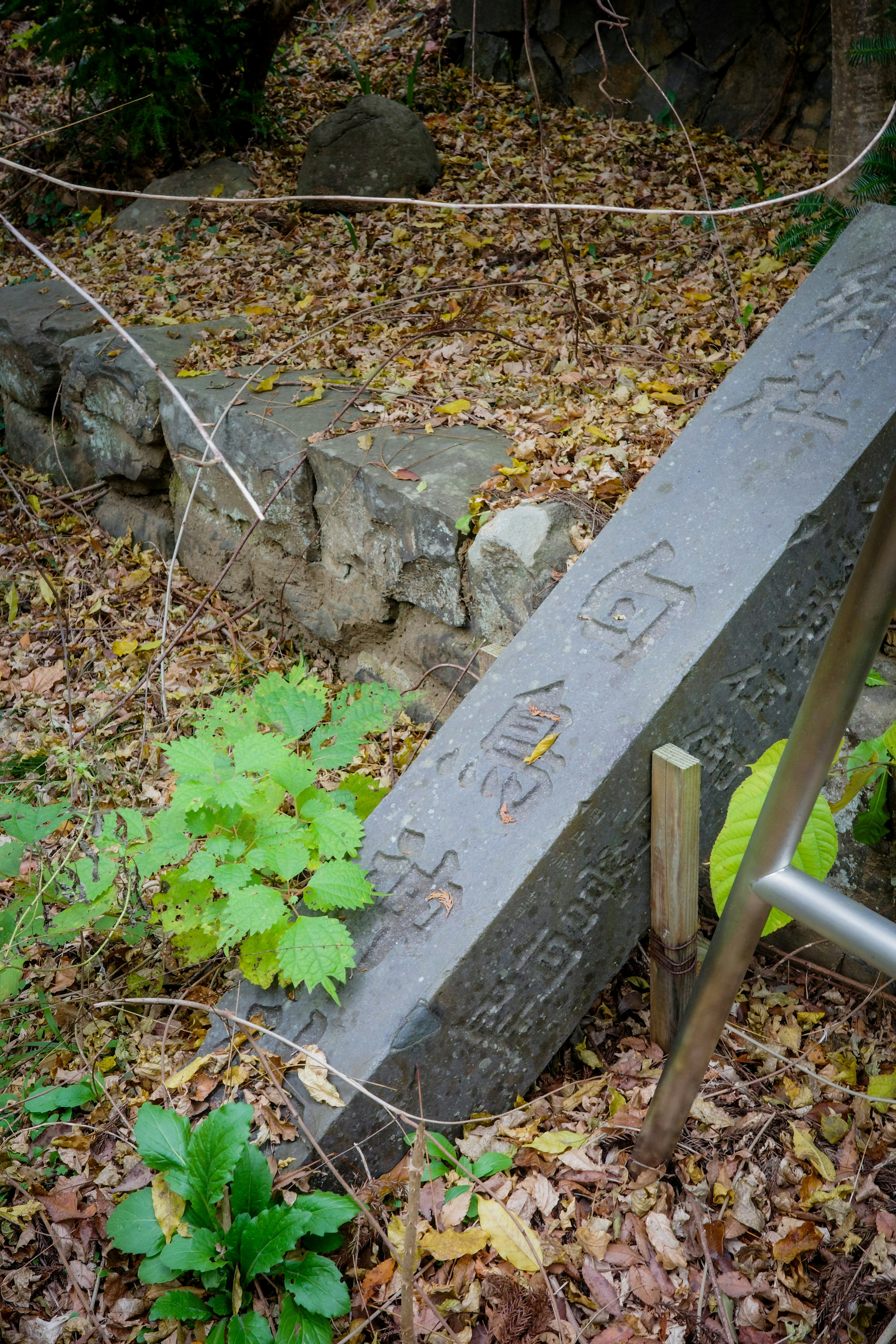 苔むした墓石と立ち入りロープのある墓地の一角