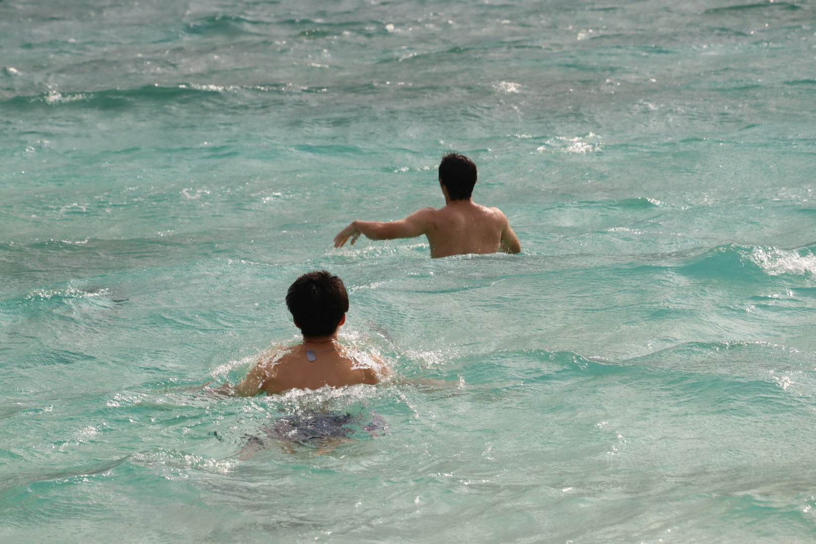 海で泳ぐ人たちの背中と波のある水面