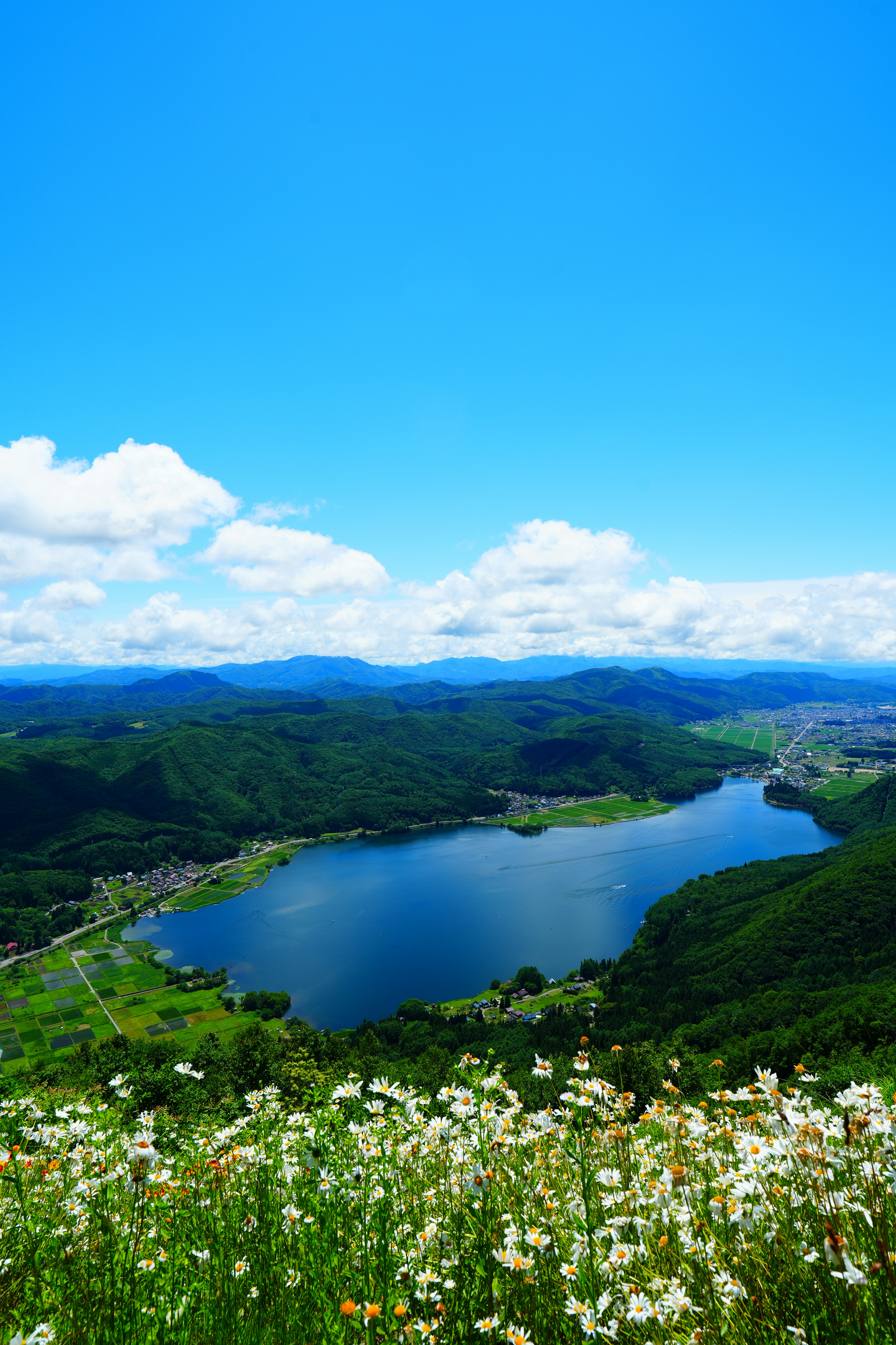Blauer Himmel über dem Kizaki-See und den Bergen von einem Blumenfeld am Hang aus
