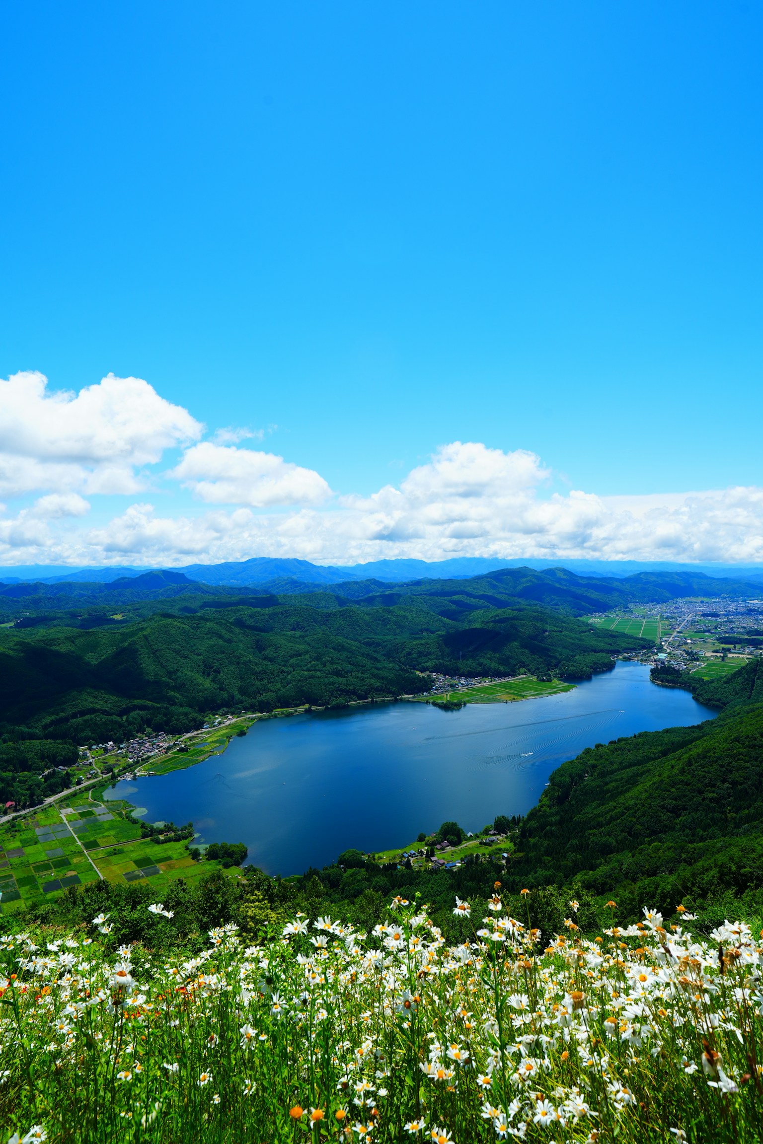Vista panoramica di un lago circondato da colline verdi e fiori bianchi sotto un cielo blu chiaro
