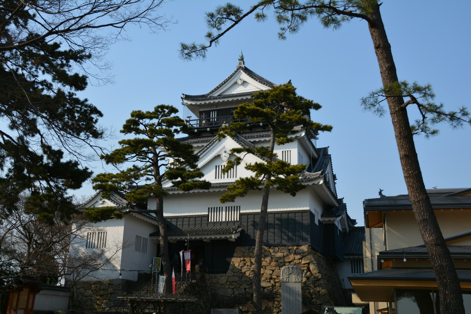 Exterior of a Japanese castle with white walls and pine trees