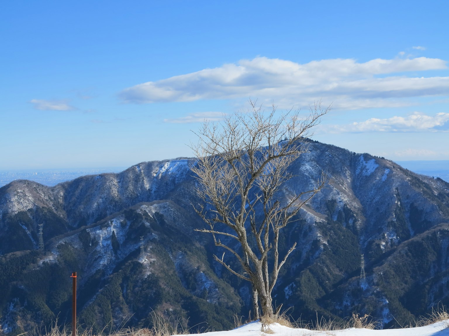 一棵树矗立在被雪覆盖的山脉下，天空湛蓝