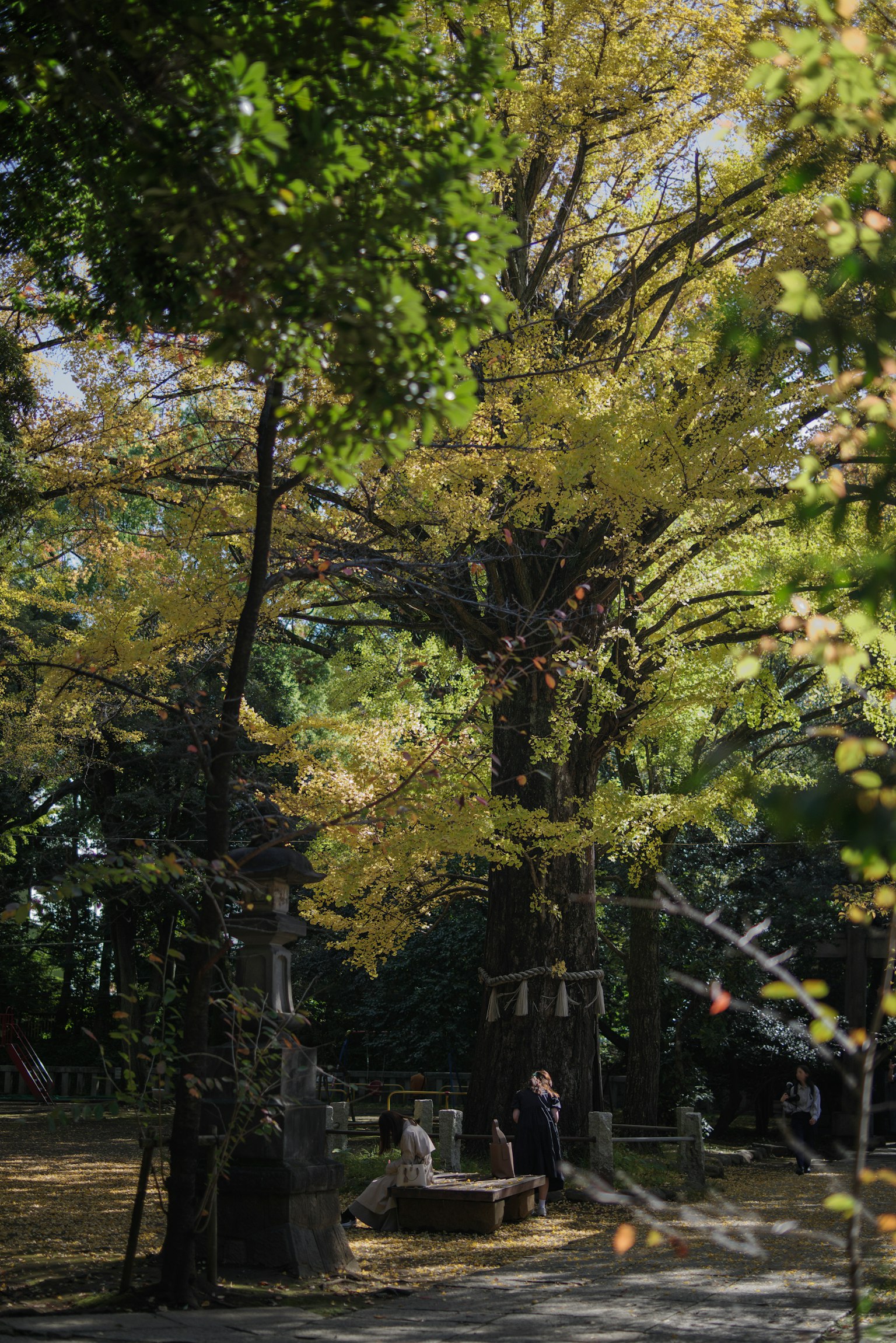 Vista panoramica di un parco con alberi dalle foglie gialle e persone che godono della tranquillità