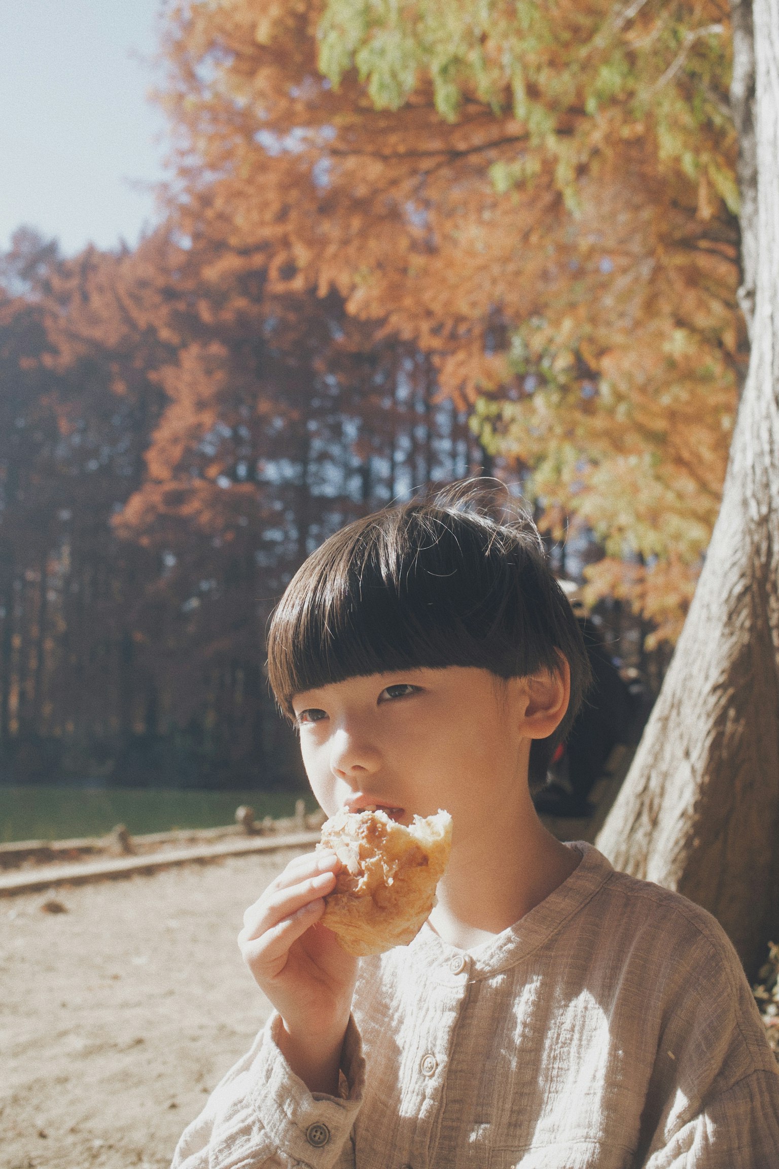秋の木々の下でお菓子を食べる子供の写真