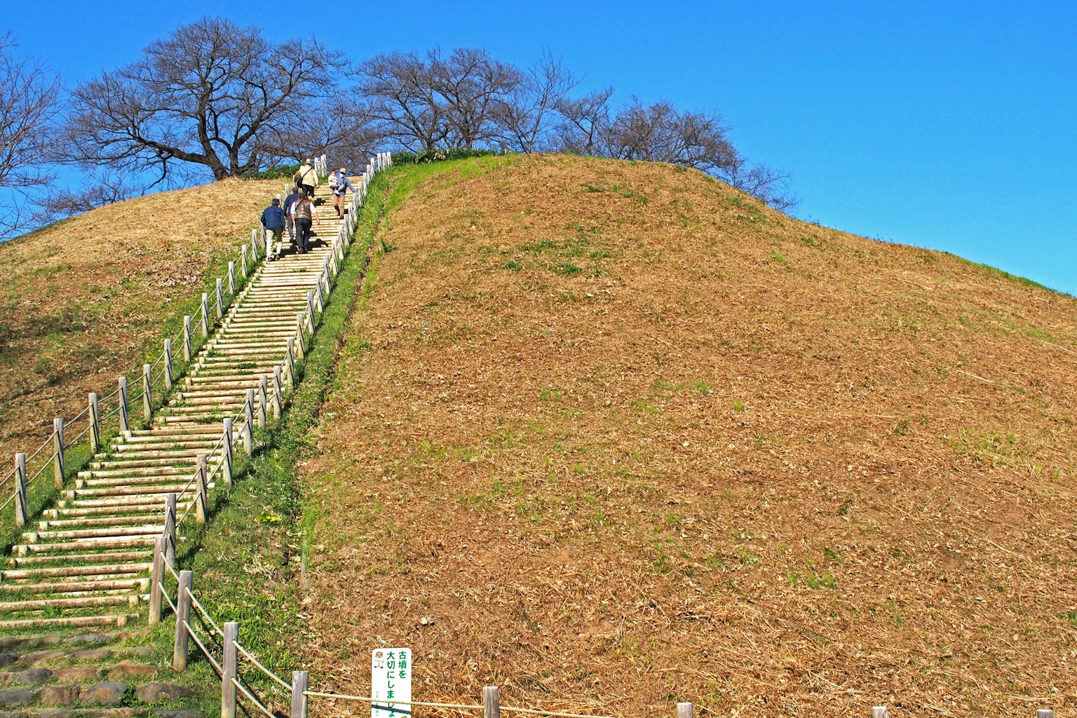 Personas subiendo escaleras de madera en una colina cubierta de hierba bajo un cielo azul claro