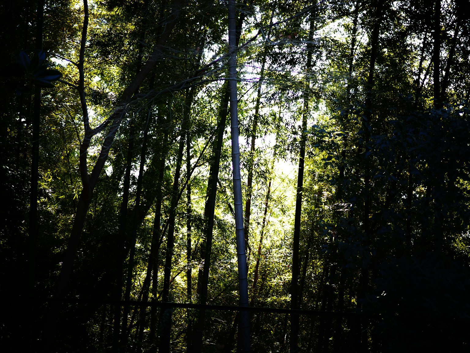 photo-VrI2VsjOb2h1e6JDlXZ2-image