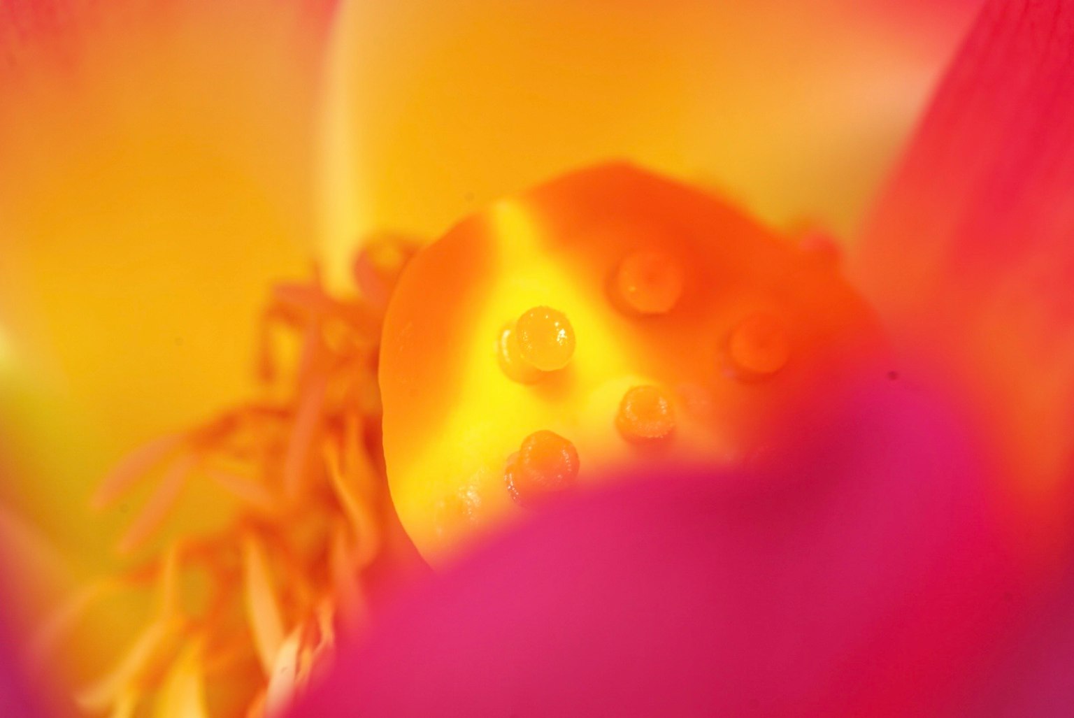 photo-Vu4ohRFwyYrx3GTt7naZ-image