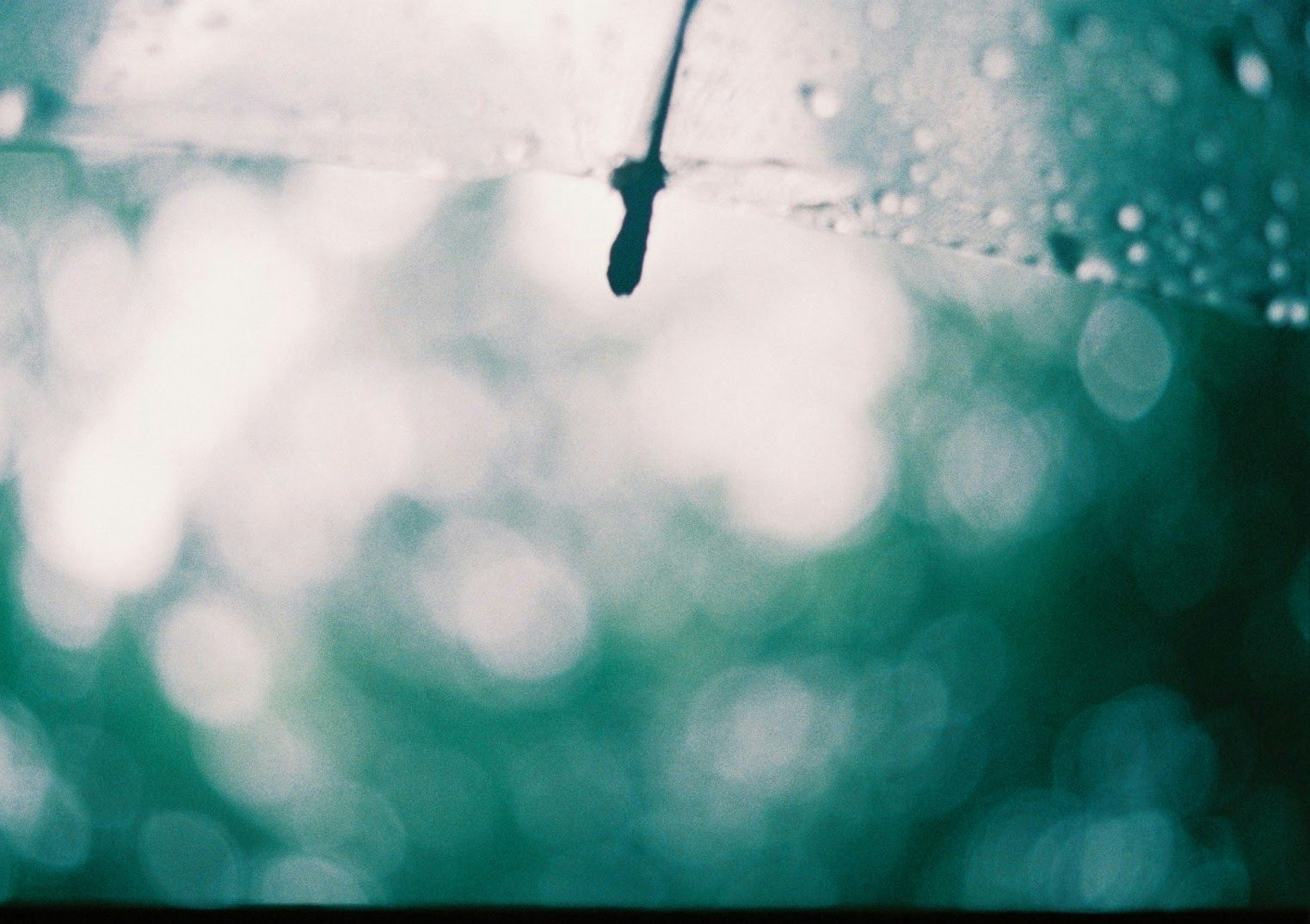 透過塑膠雨傘的雨與綠色散景
