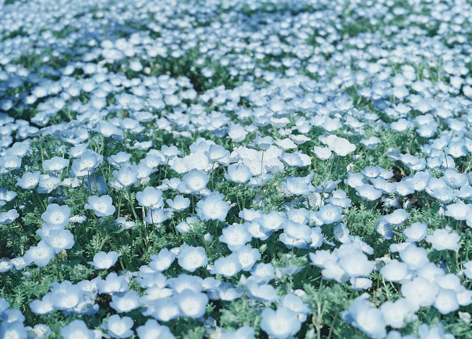 photo-VueFq0itY4u6zxjQuW7f-image