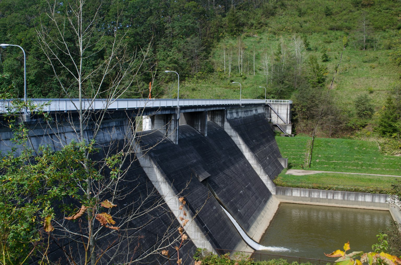 Dam structure with surrounding greenery