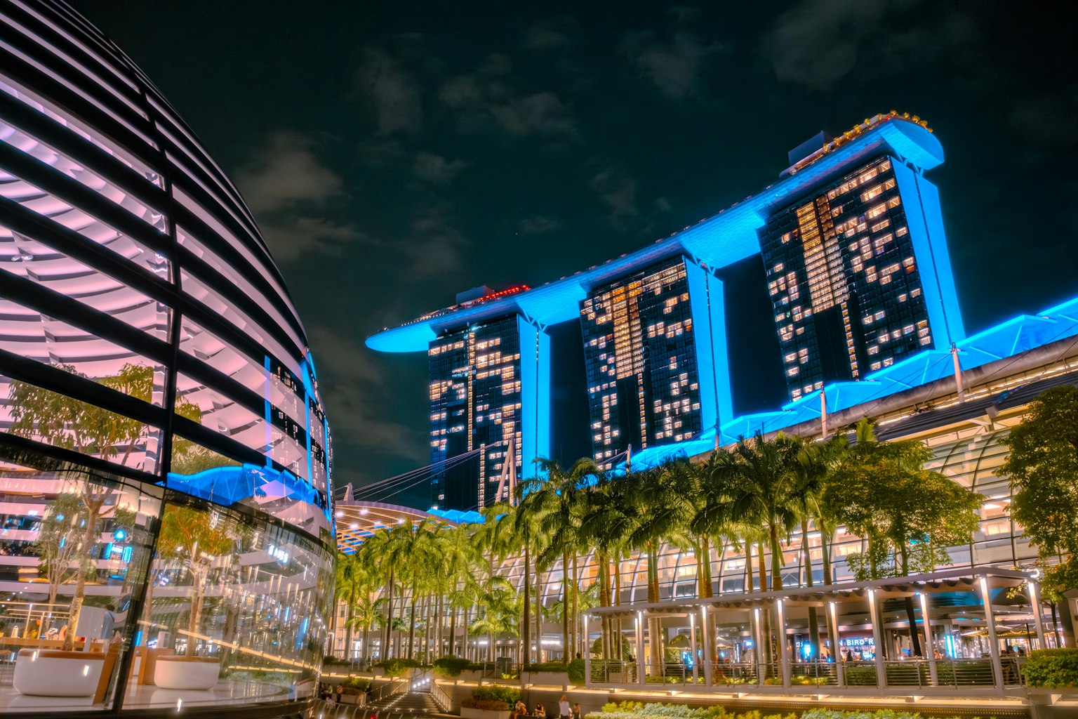 夜のマリーナベイサンズの美しい景色と周囲の緑