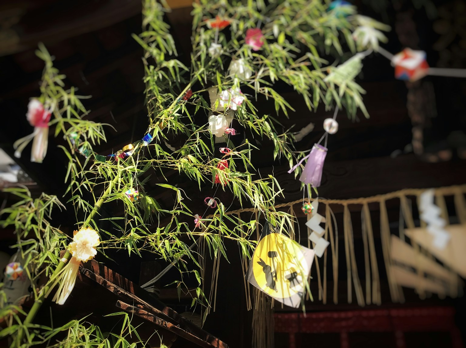 Una decorazione in bambù adornata con tanzaku colorati appesi
