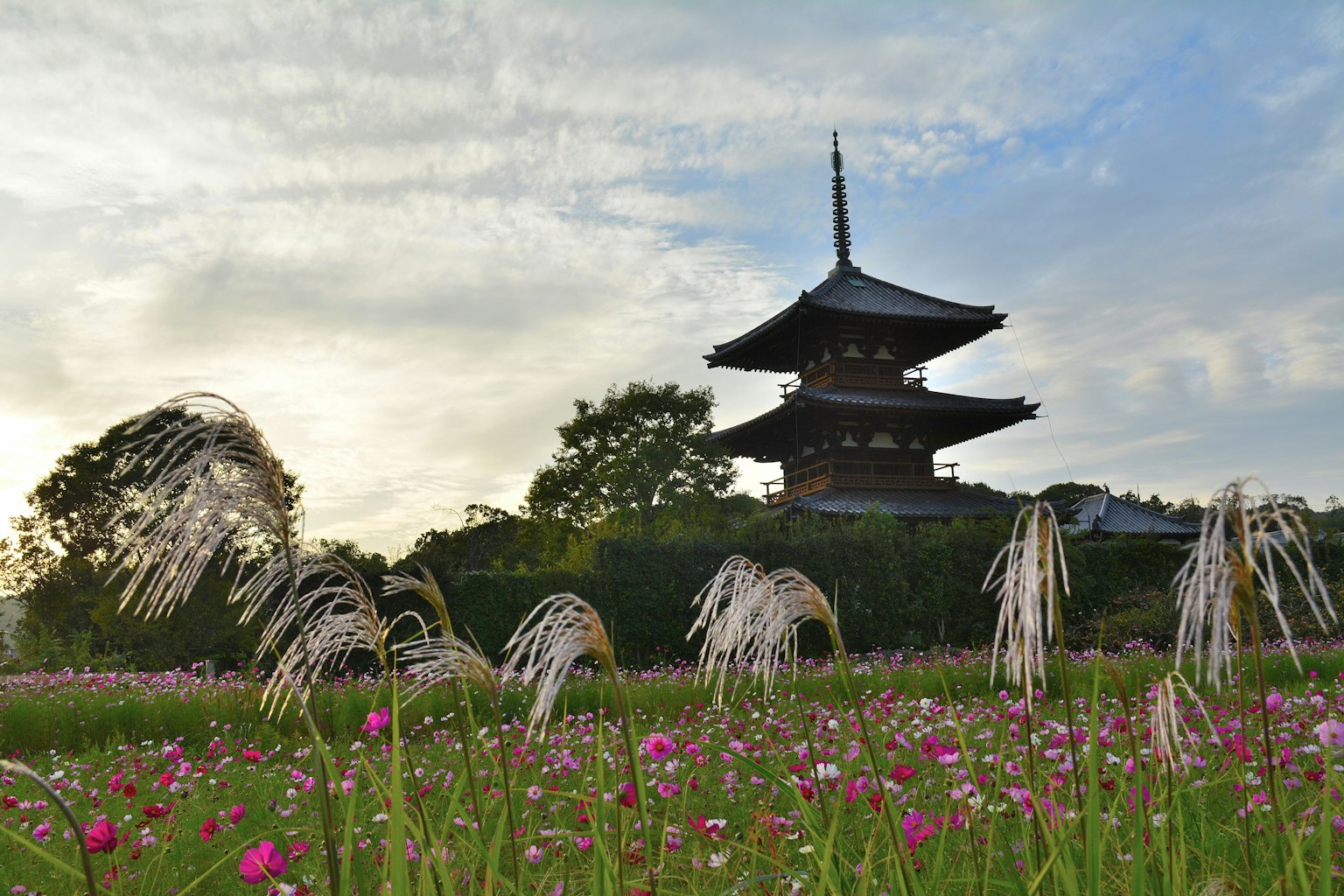 Traditionale japanische Pagode vor einem schönen Blumenfeld