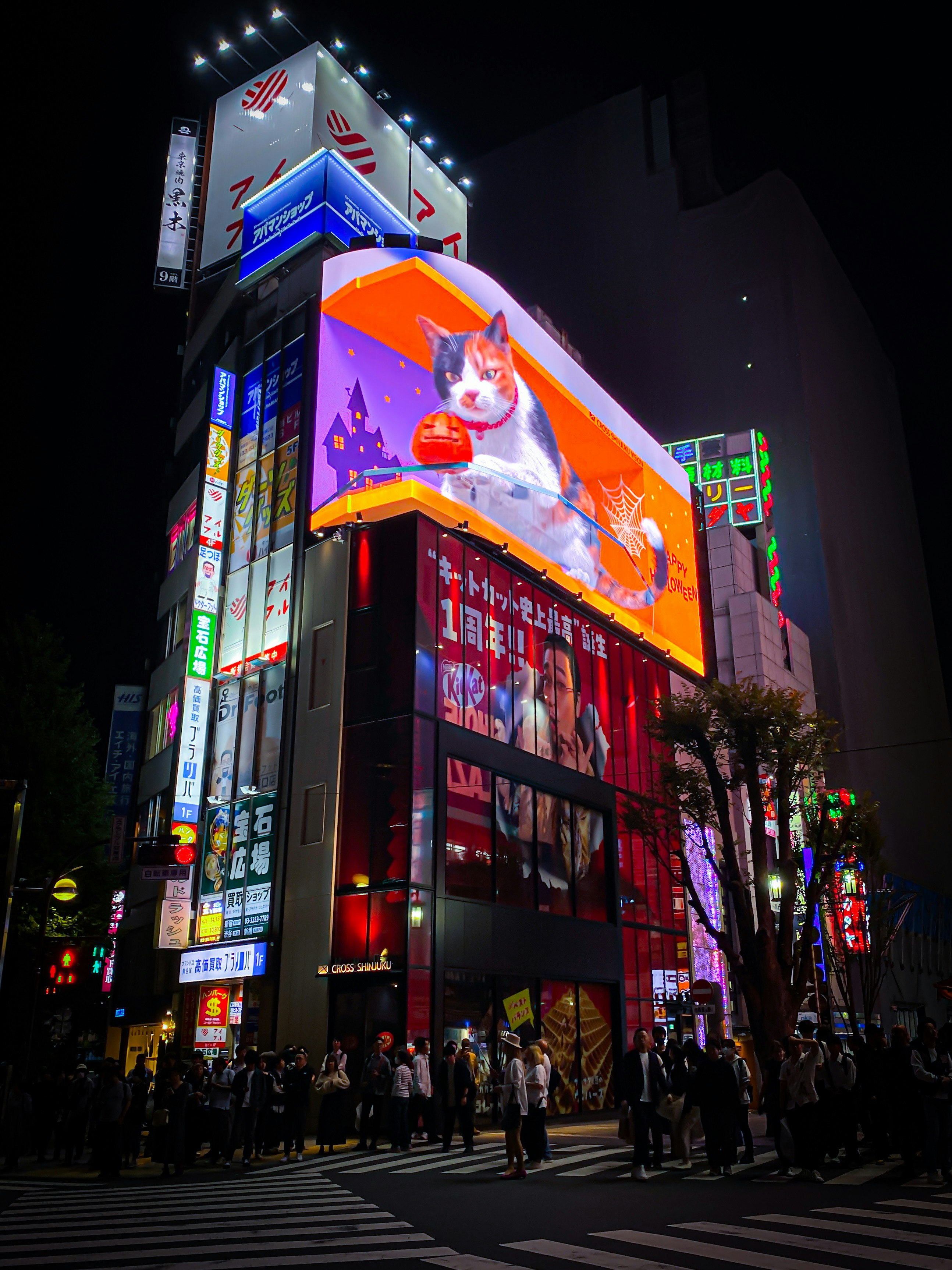 新宿の夜の交差点でネオンが光るビル外観