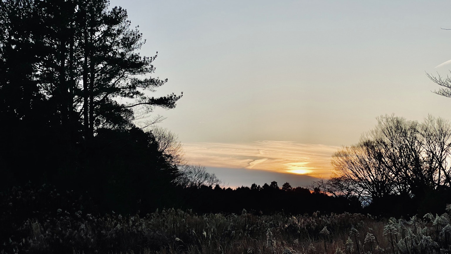 Hermoso paisaje de atardecer con siluetas de árboles