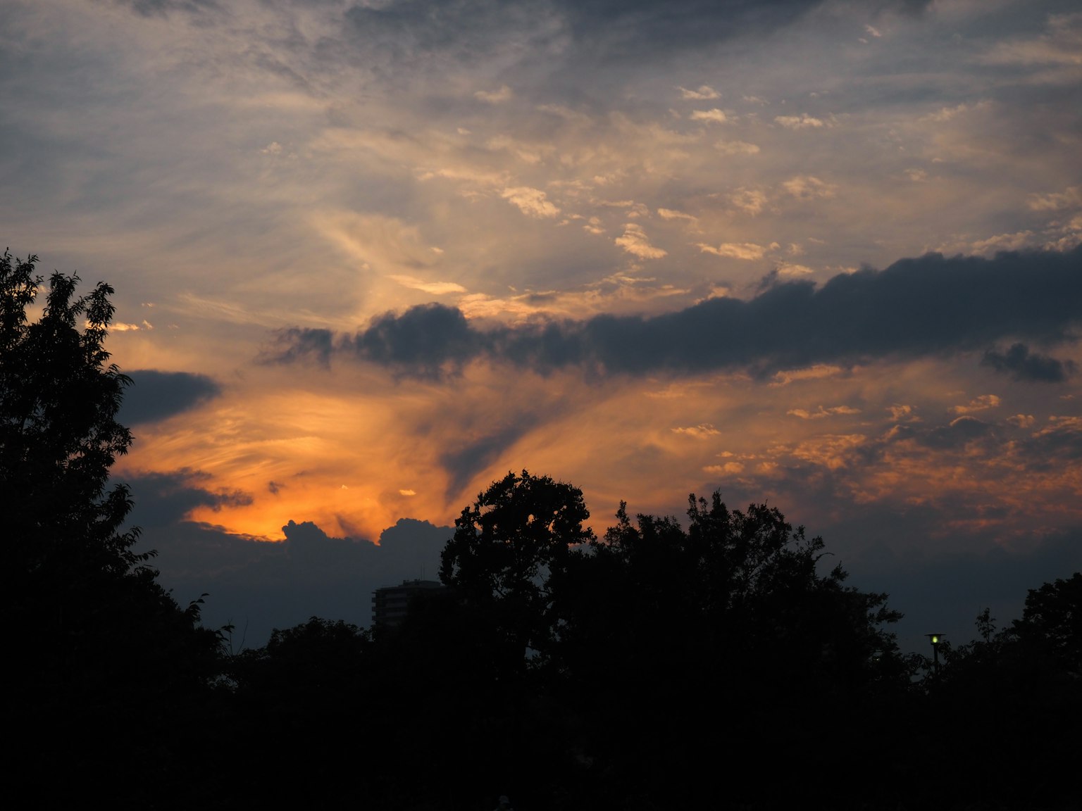 Langit senja dramatis dengan pohon siluet